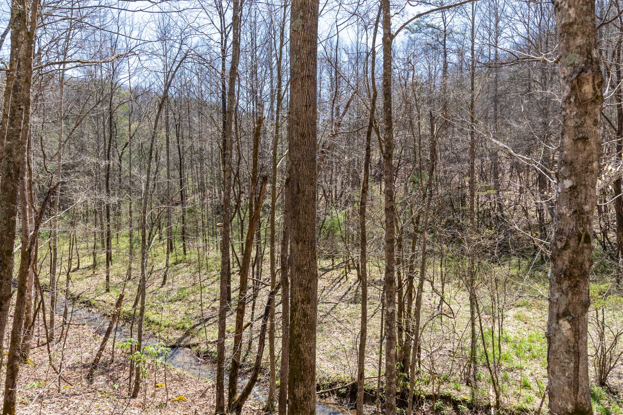 Woodland Heights Tract 13 photo 20