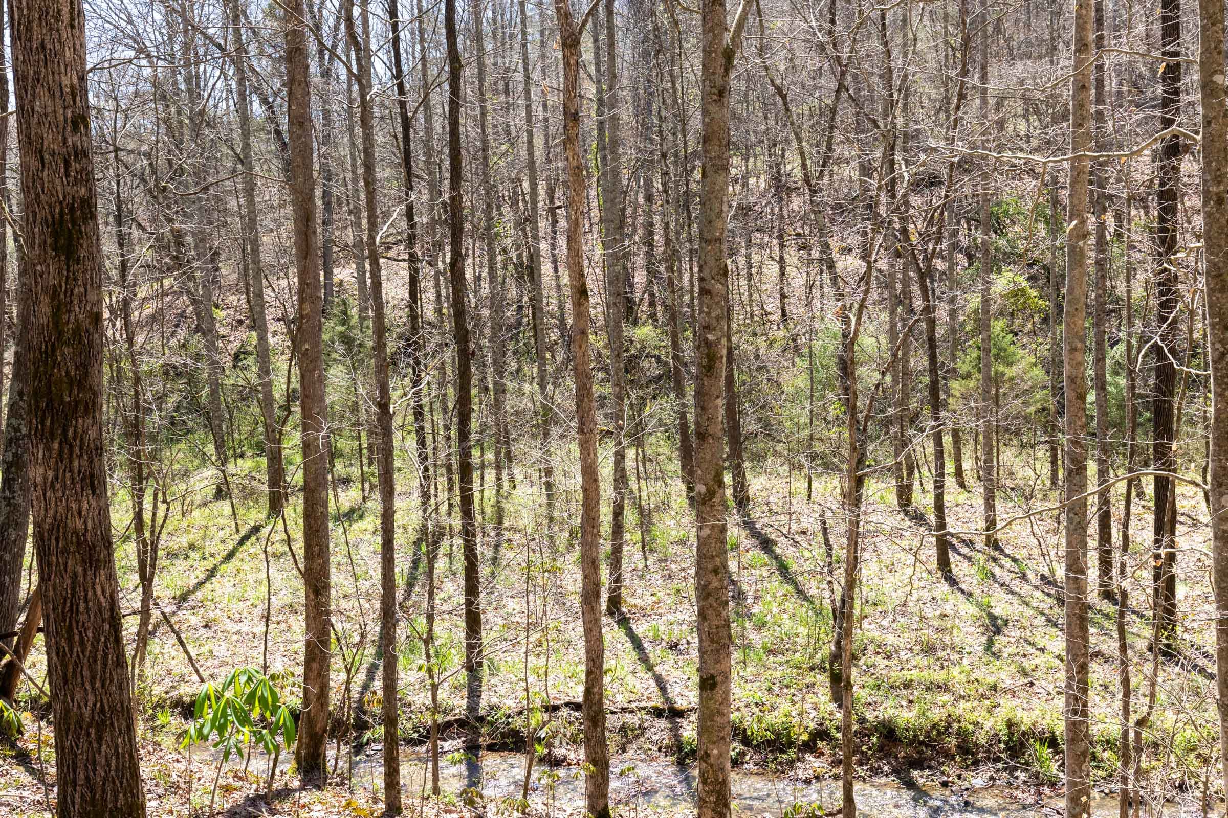 Woodland Heights Tract 13 photo 22