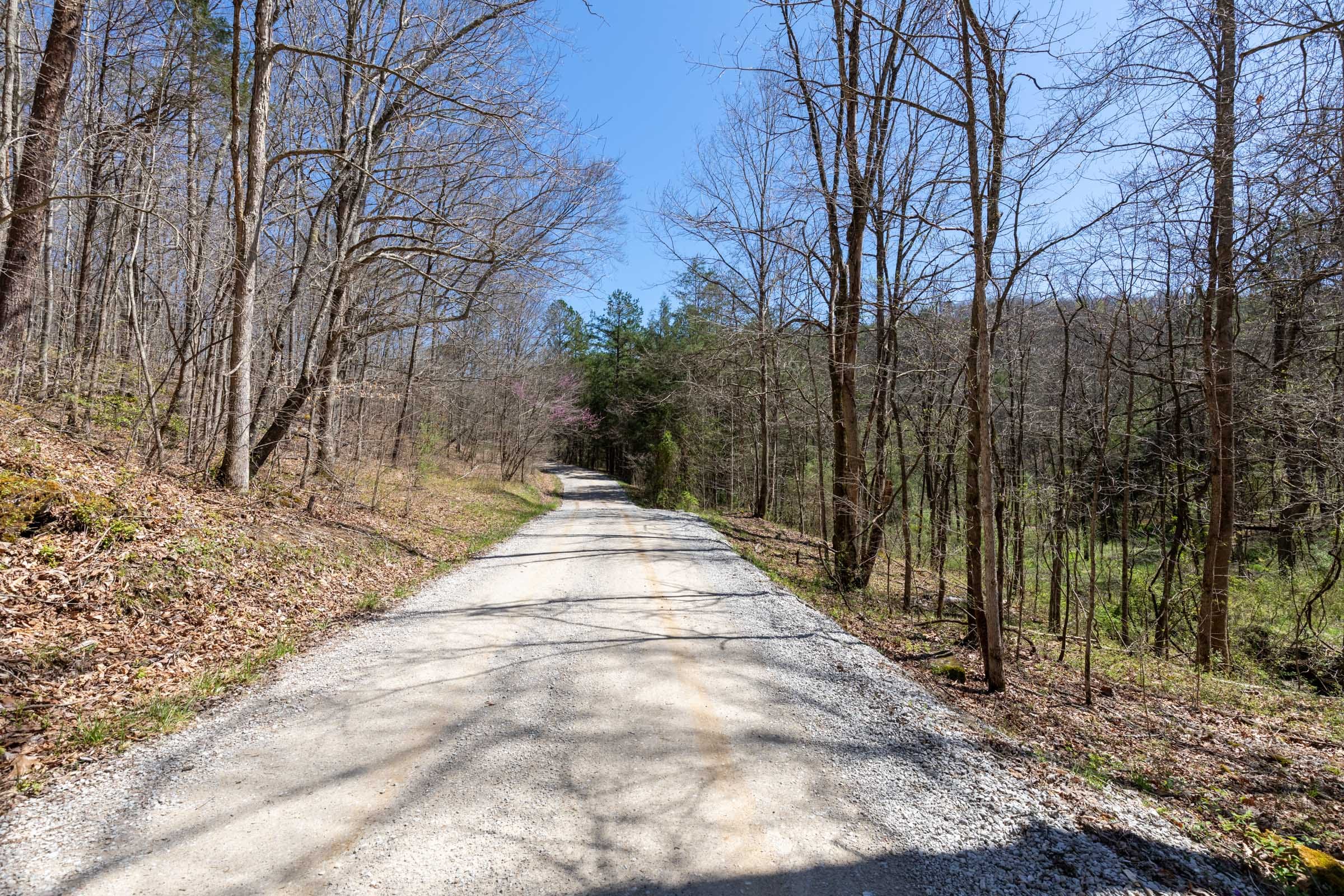 Woodland Heights Tract 13 photo 8