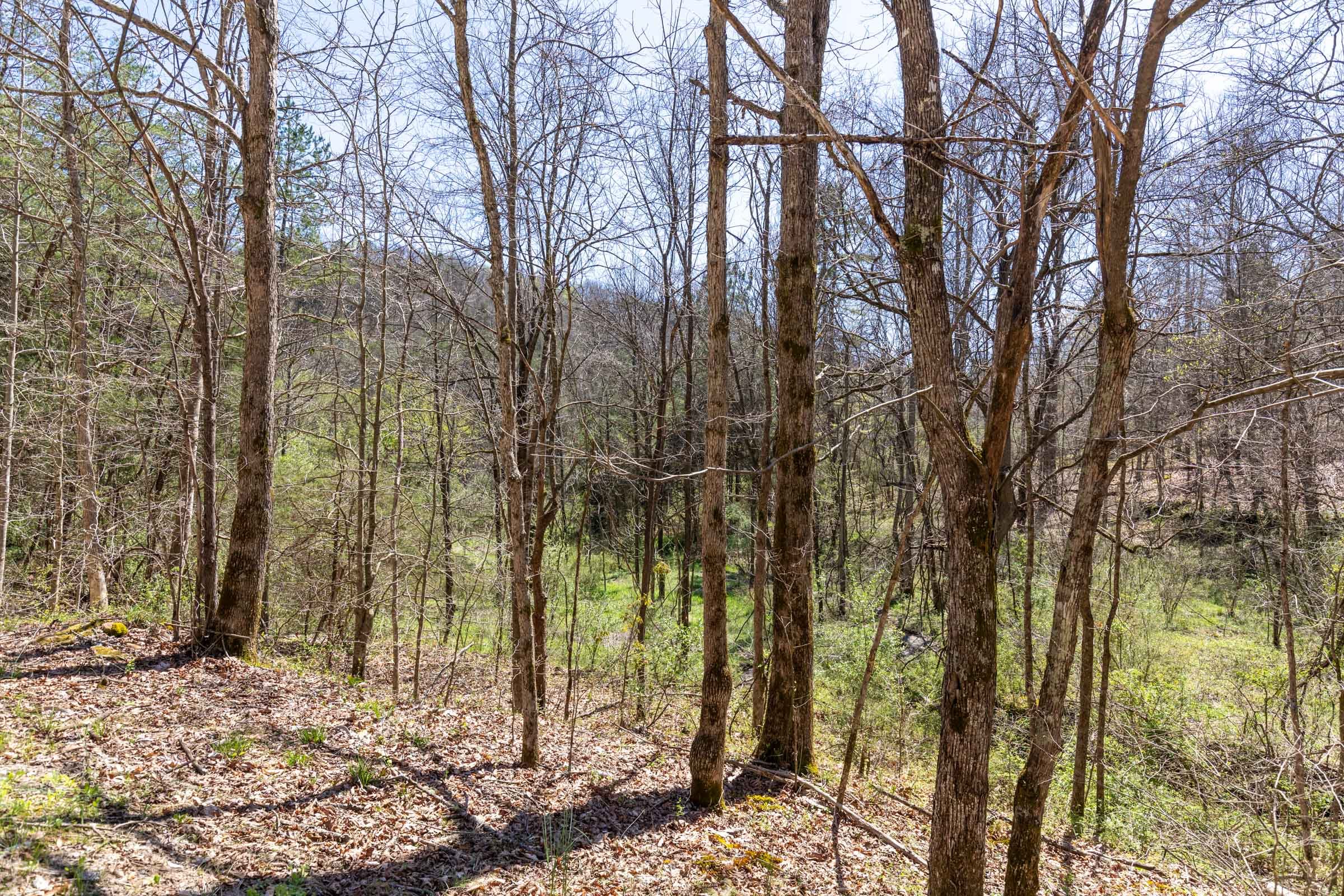Woodland Heights Tract 13 photo 21