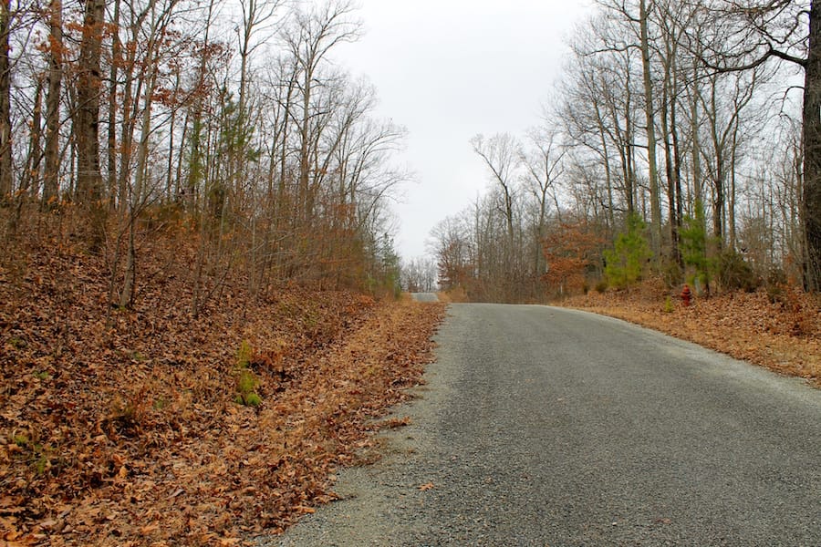 The Tennessean Tract 58 photo 1