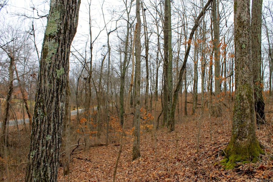 The Tennessean Tract 58 photo 2