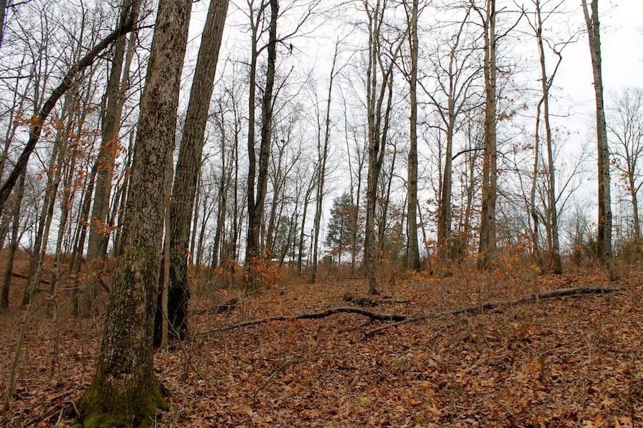 The Tennessean Tract 58 photo 3