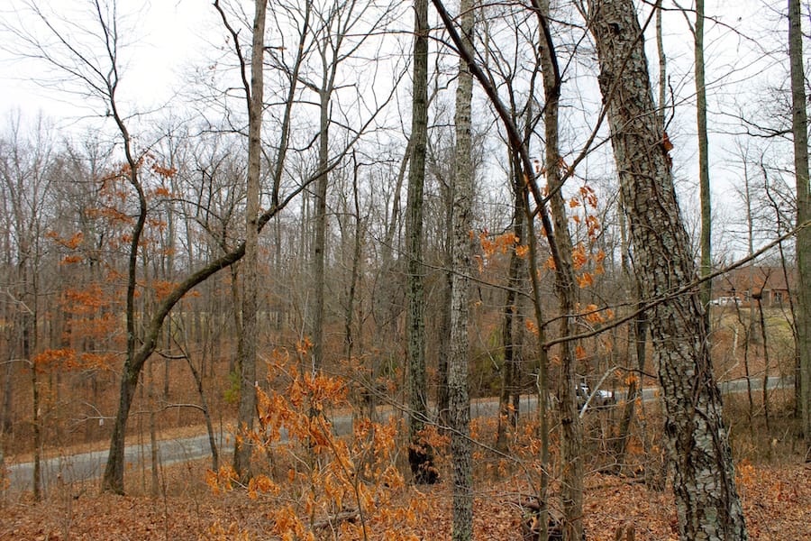 The Tennessean Tract 58 photo 8
