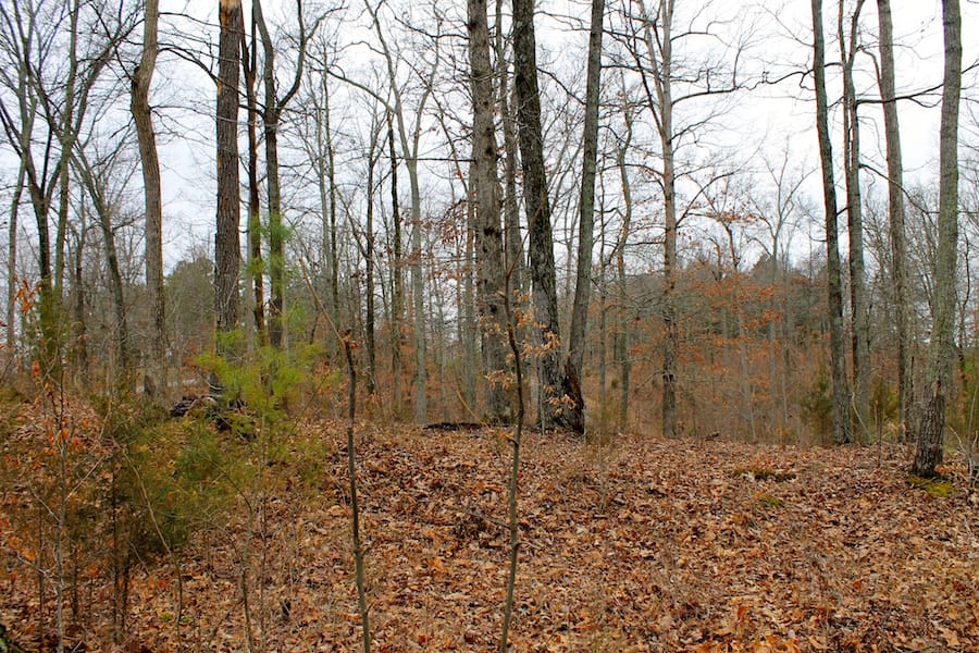The Tennessean Tract 58 photo 9