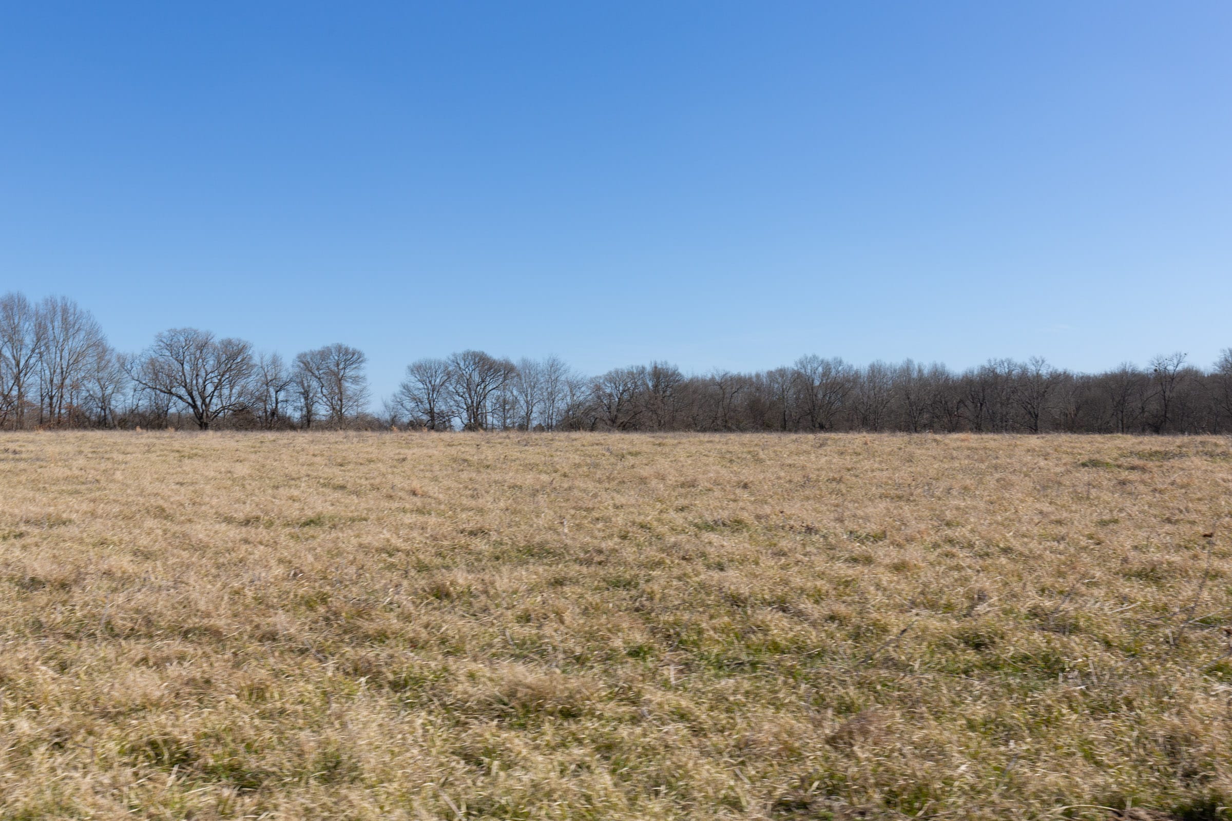 Wishing Star Ranch Tract 86 photo 2