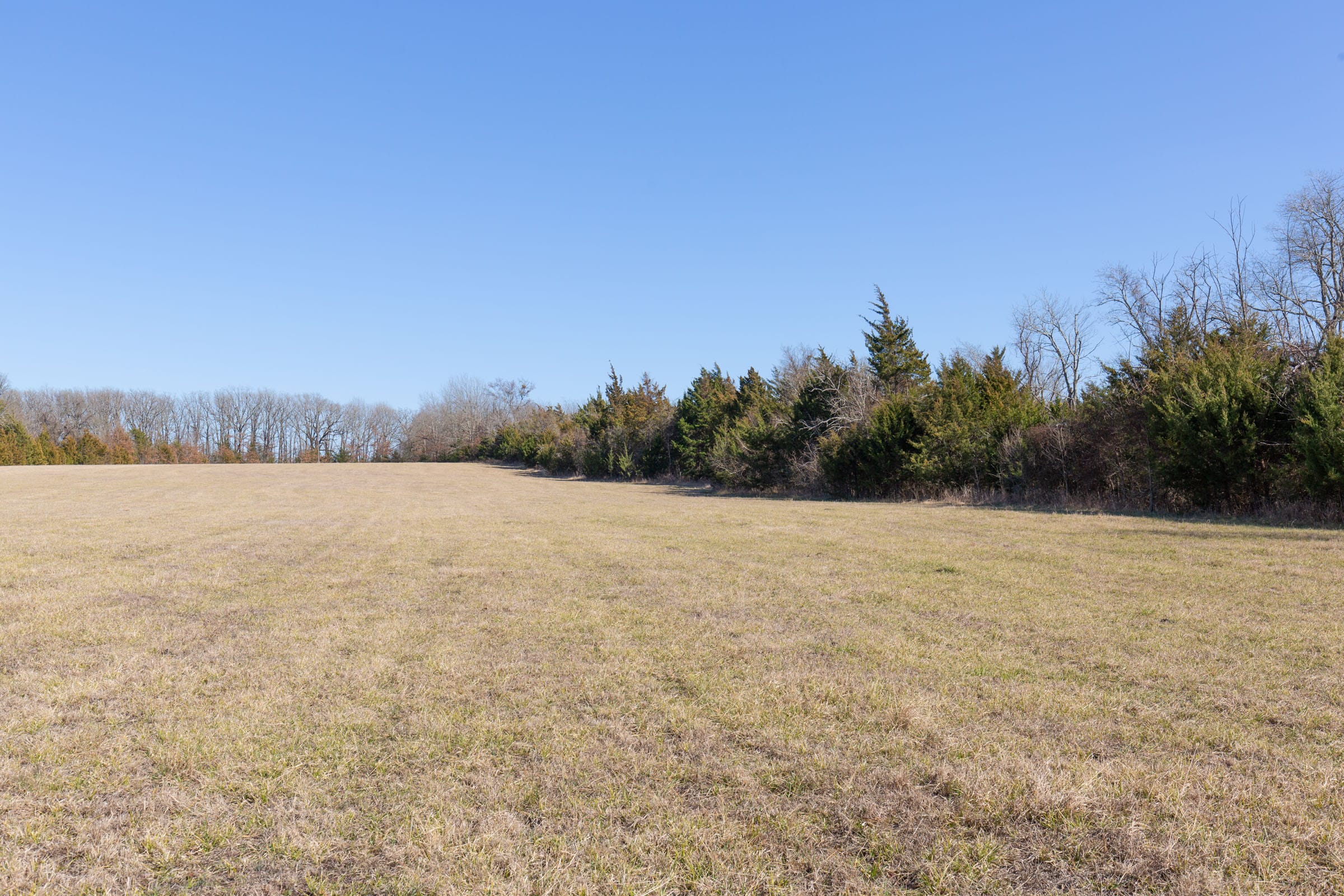 Wishing Star Ranch Tract 86 photo 5