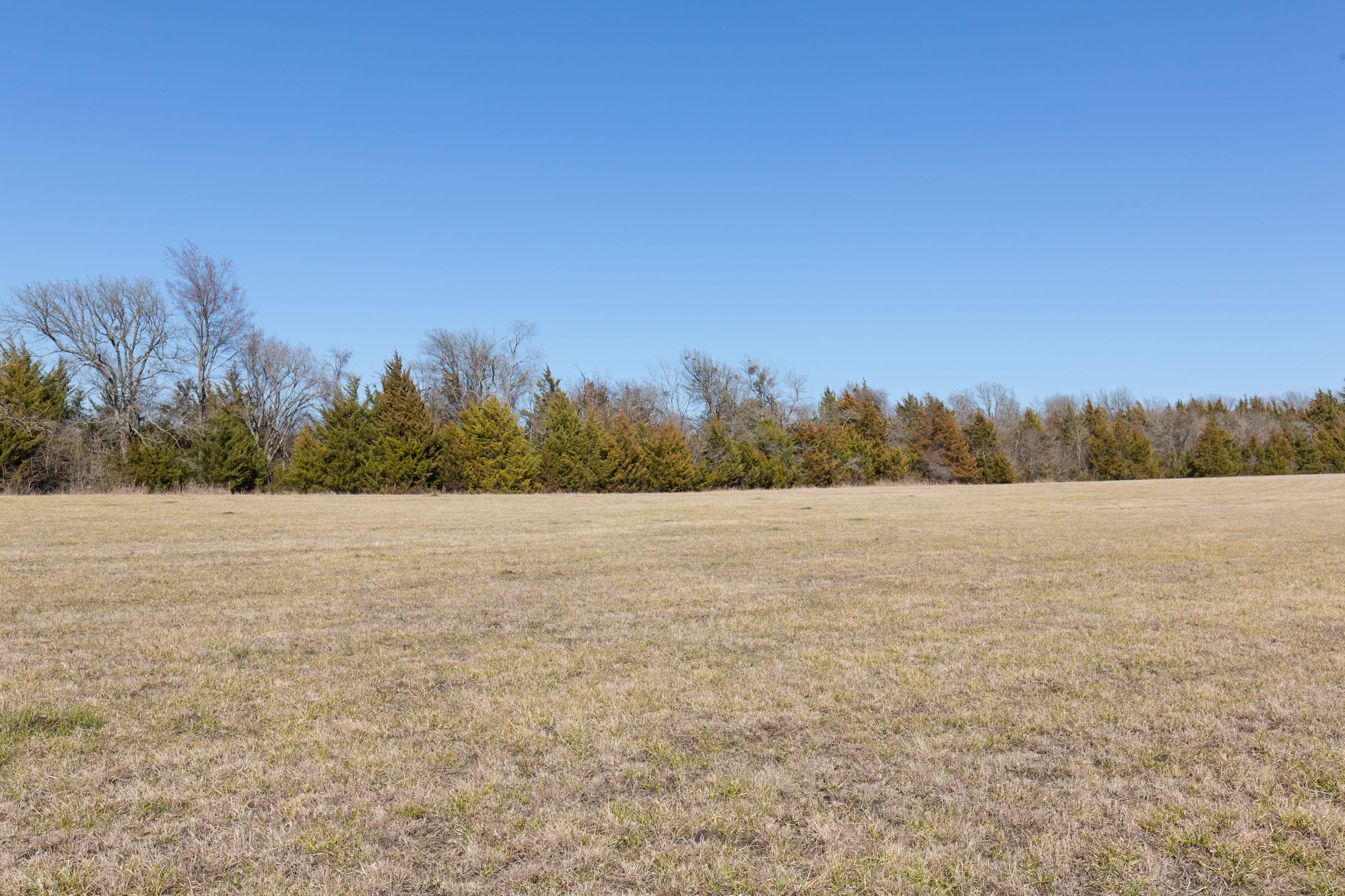 Wishing Star Ranch Tract 86 photo 6