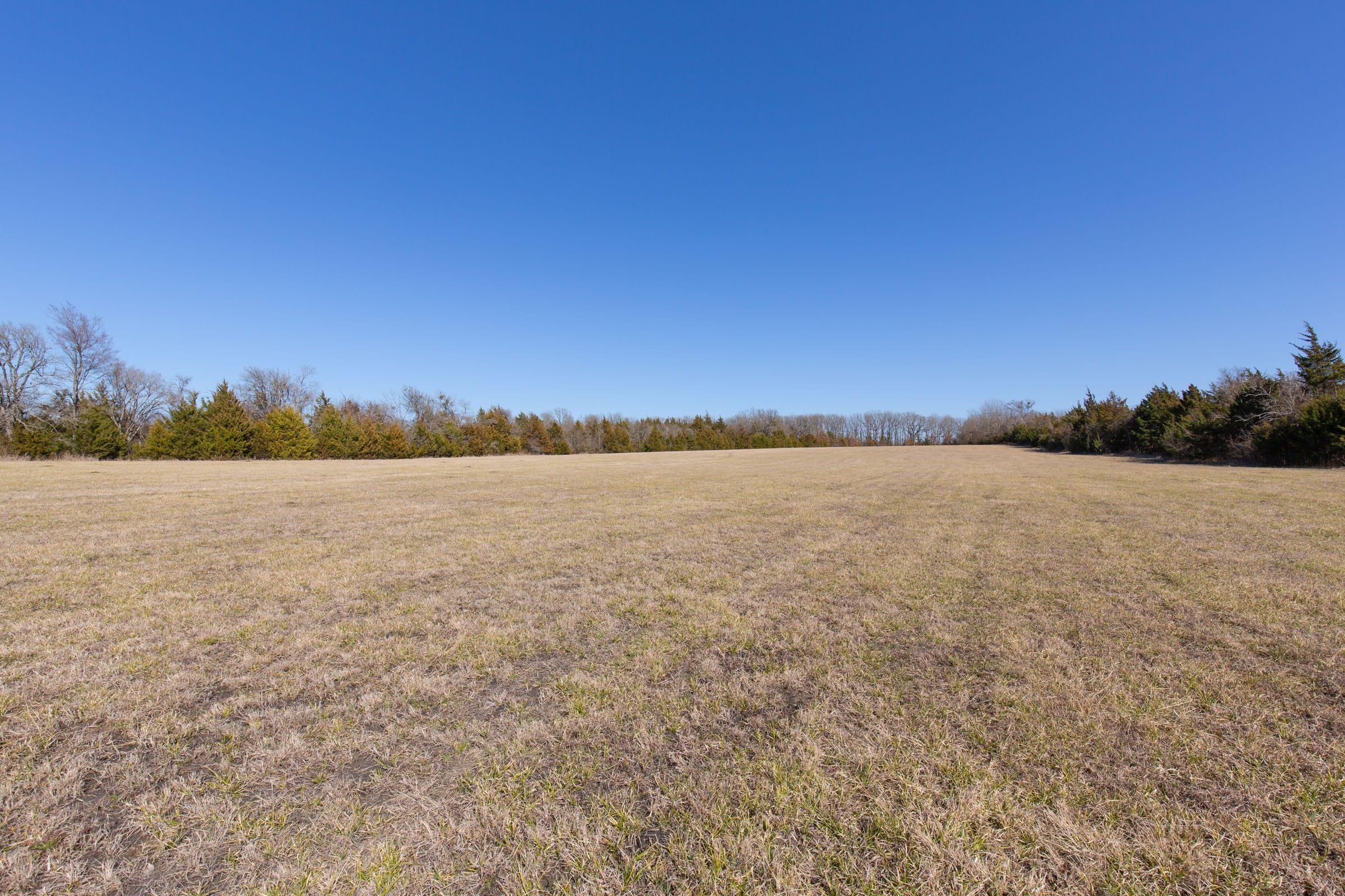 Wishing Star Ranch Tract 86 photo 7
