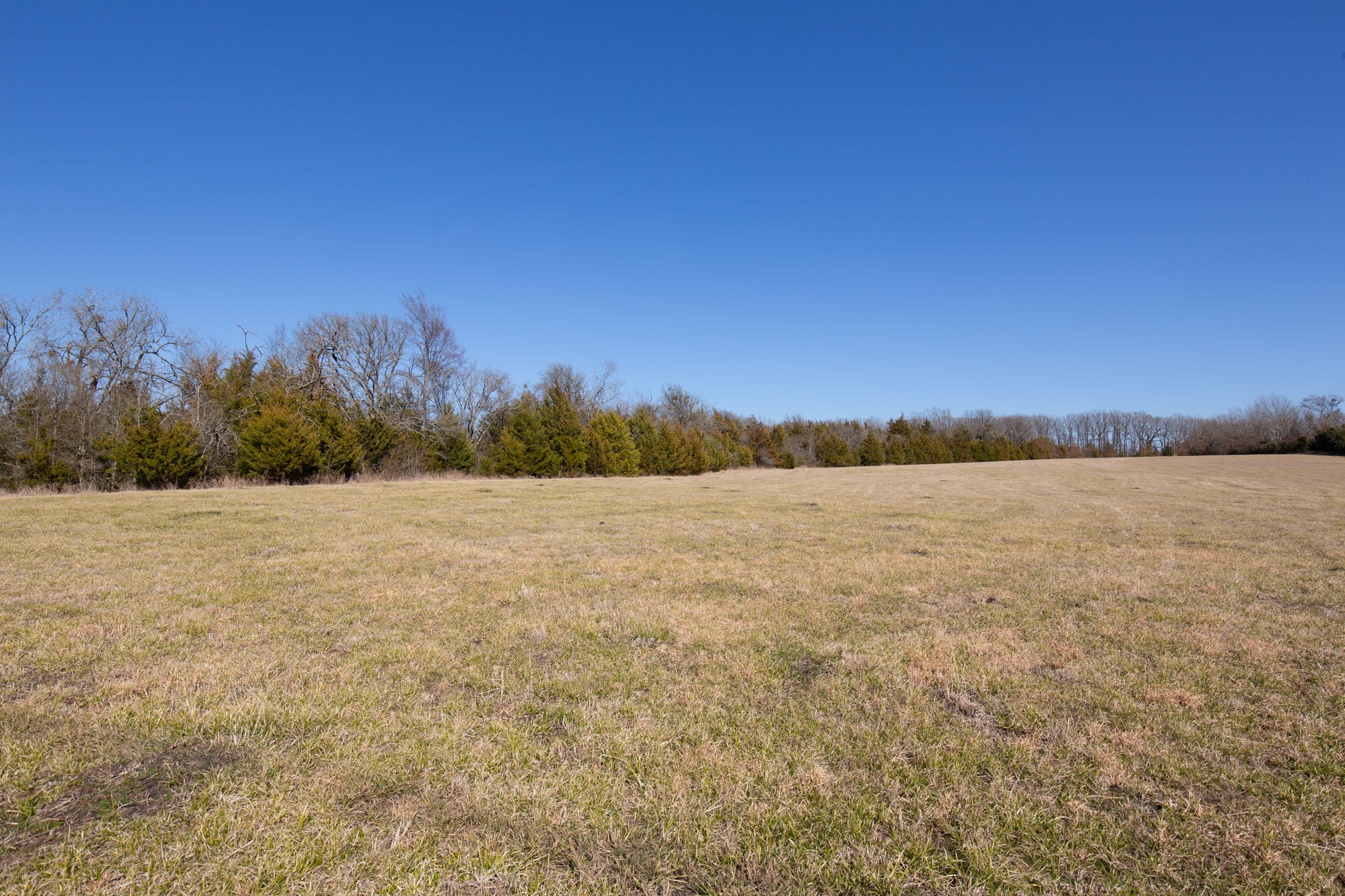 Wishing Star Ranch Tract 86 photo 9