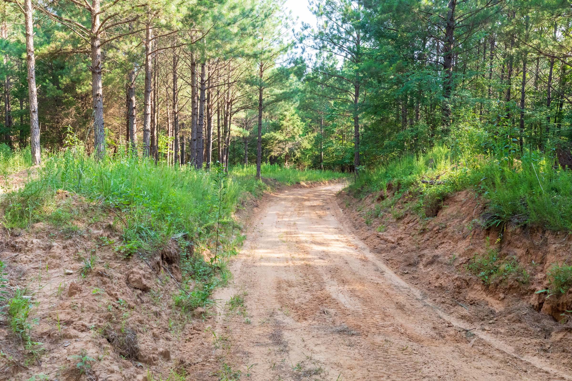 Whiskey Ridge Tract 58 photo 2