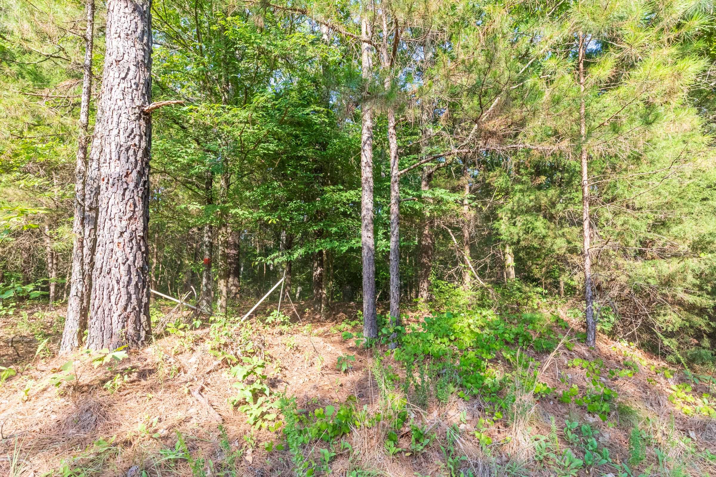 Whiskey Ridge Tract 58 photo 8