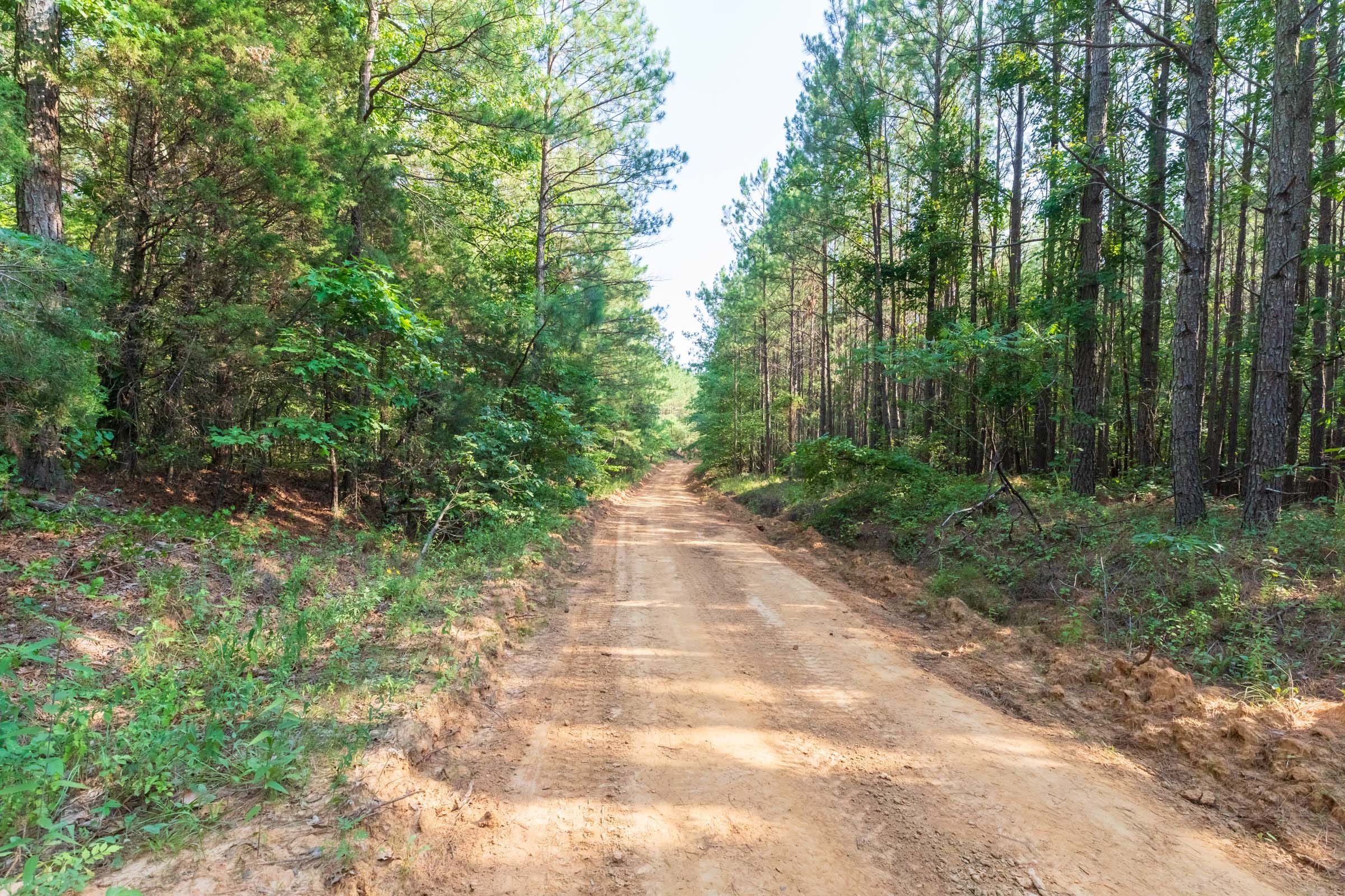 Whiskey Ridge Tract 58 photo 4