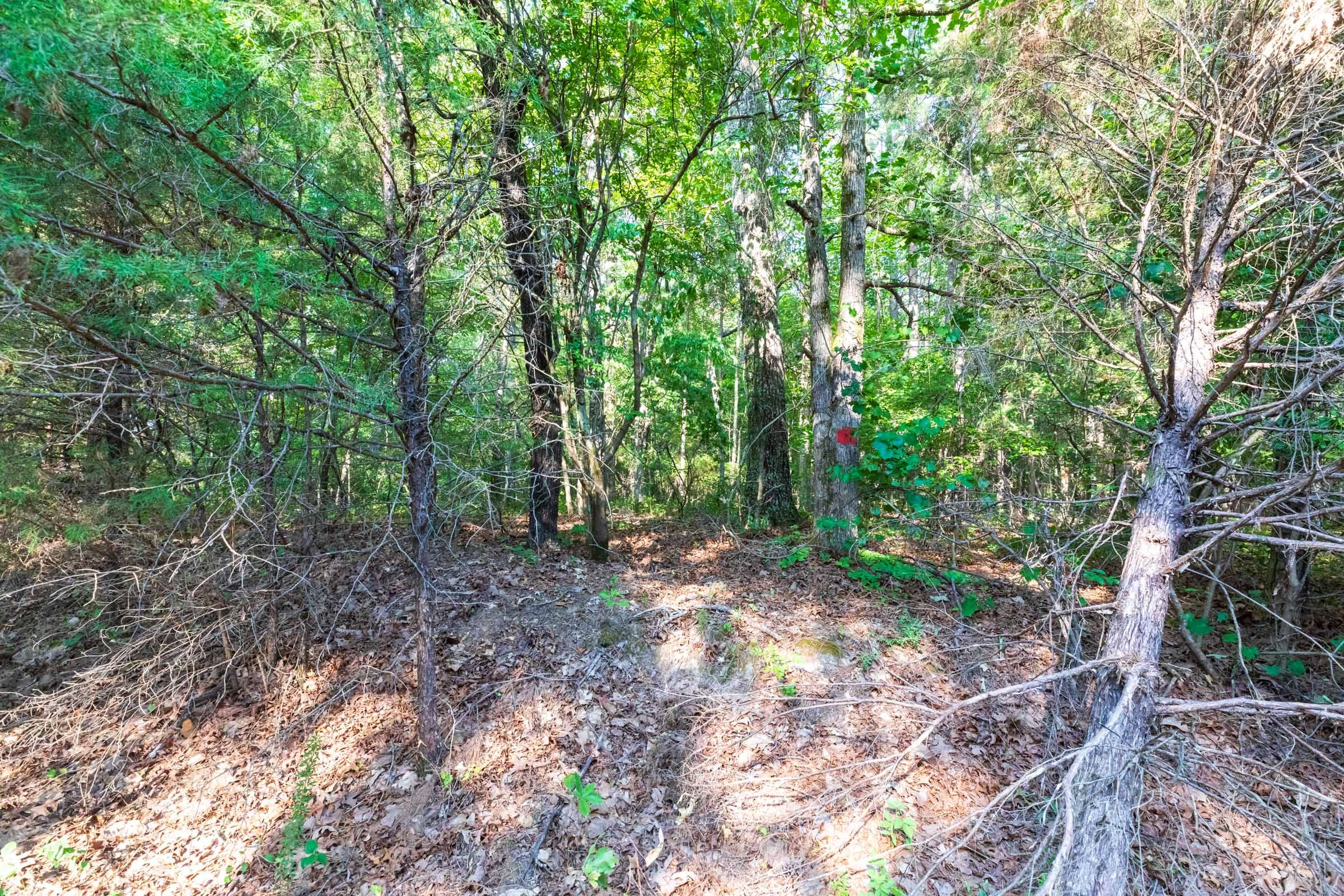 Whiskey Ridge Tract 58 photo 9