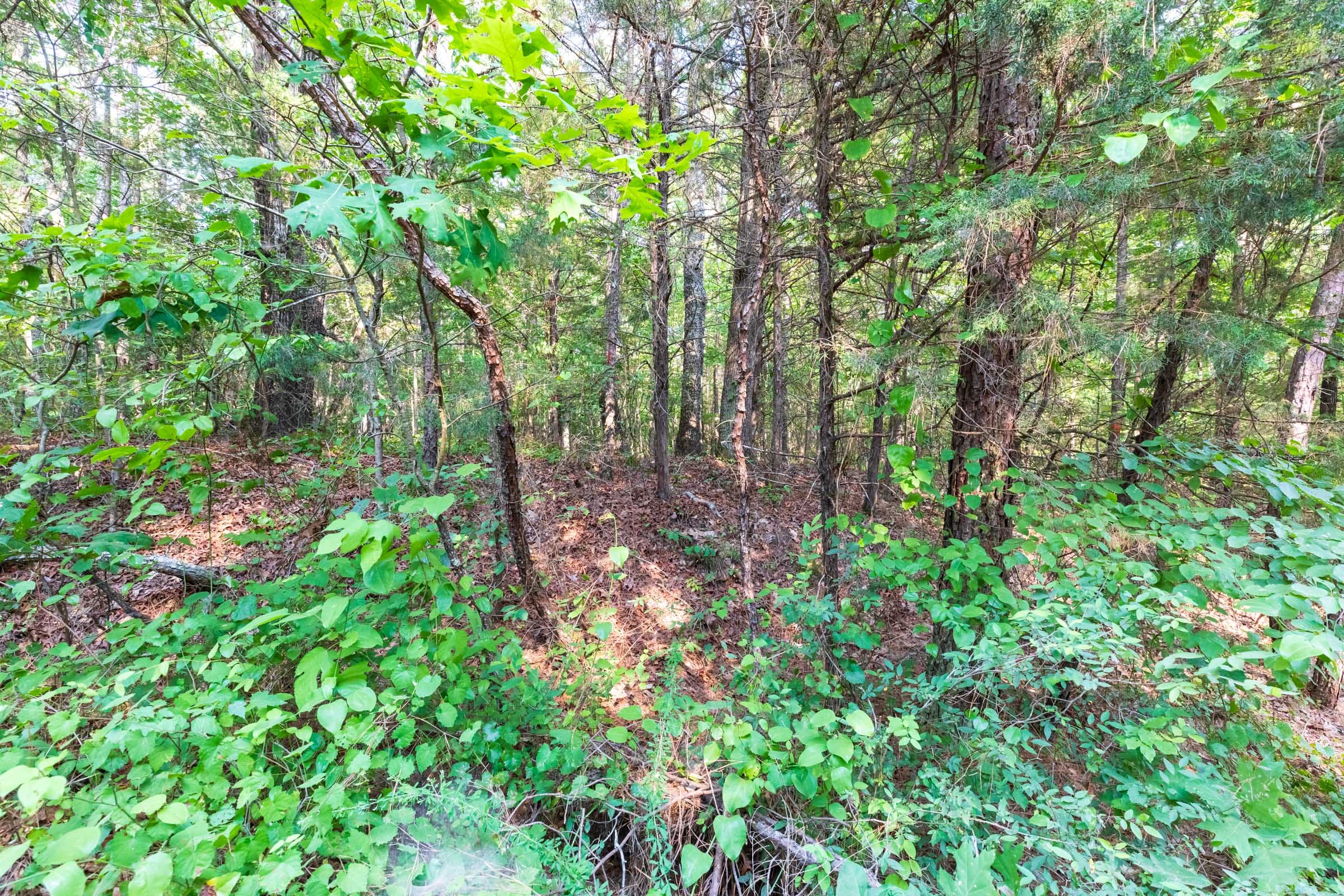 Whiskey Ridge Tract 58 photo 10