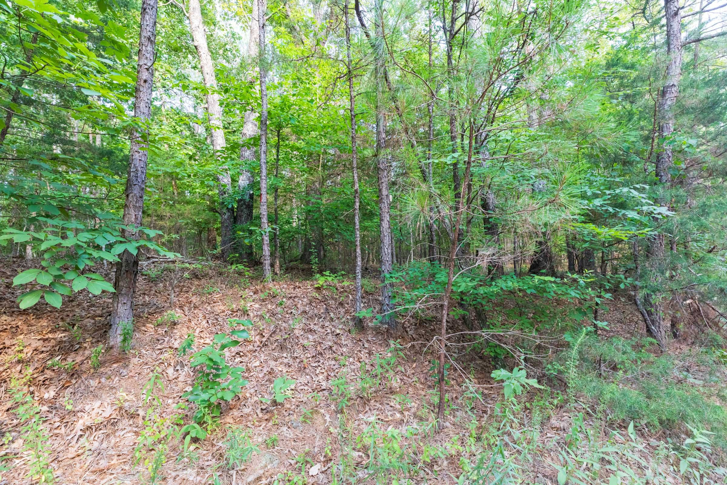 Whiskey Ridge Tract 58 photo 11
