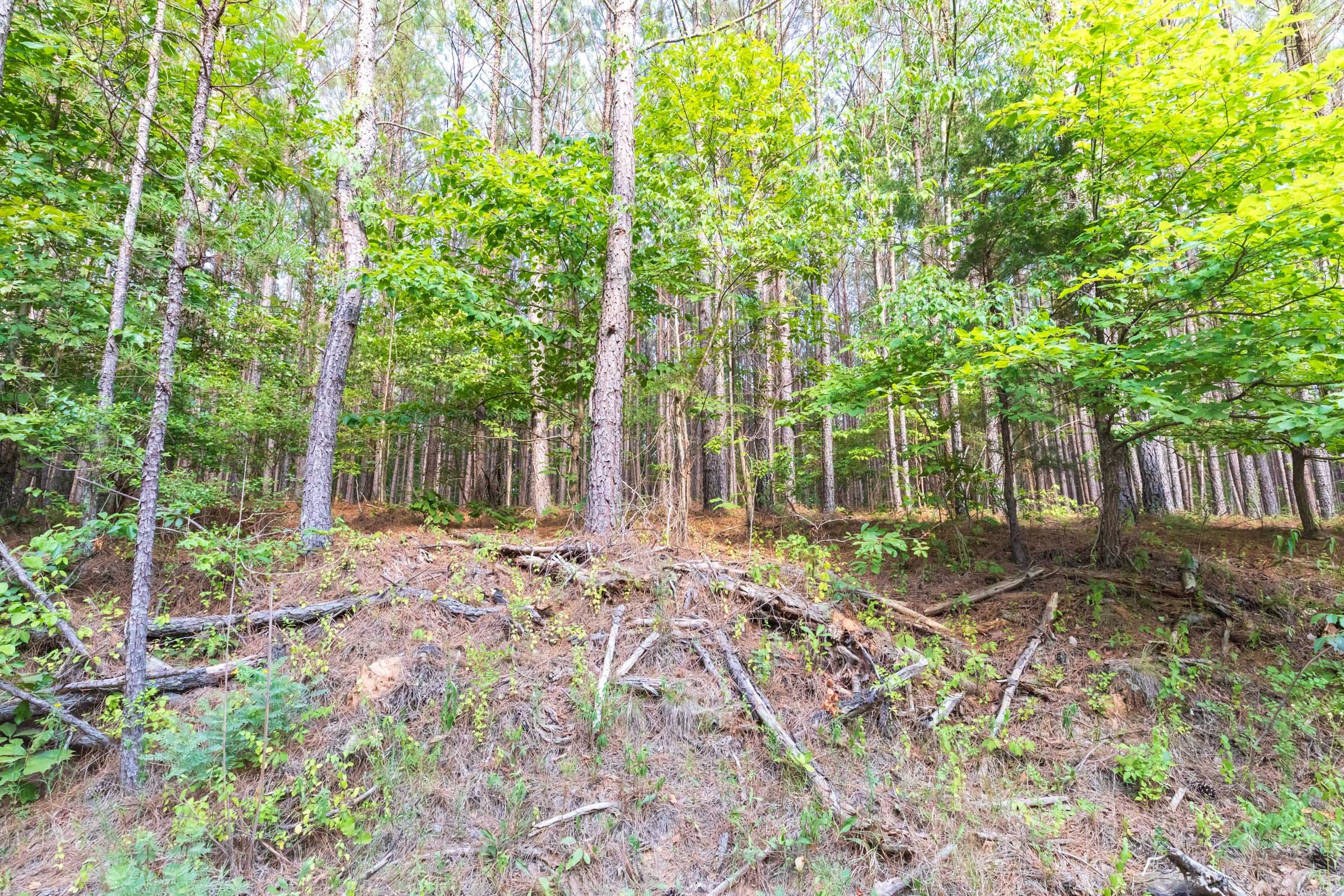 Whiskey Ridge Tract 58 photo 3