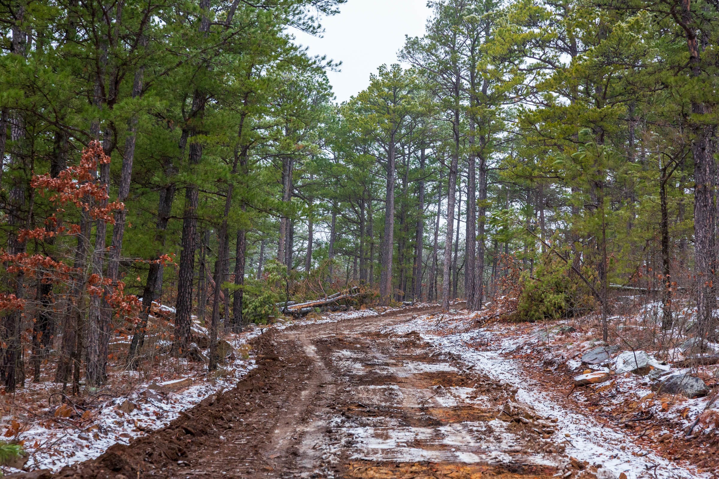 Stone Bridge Phase IV Tract 259 photo 1