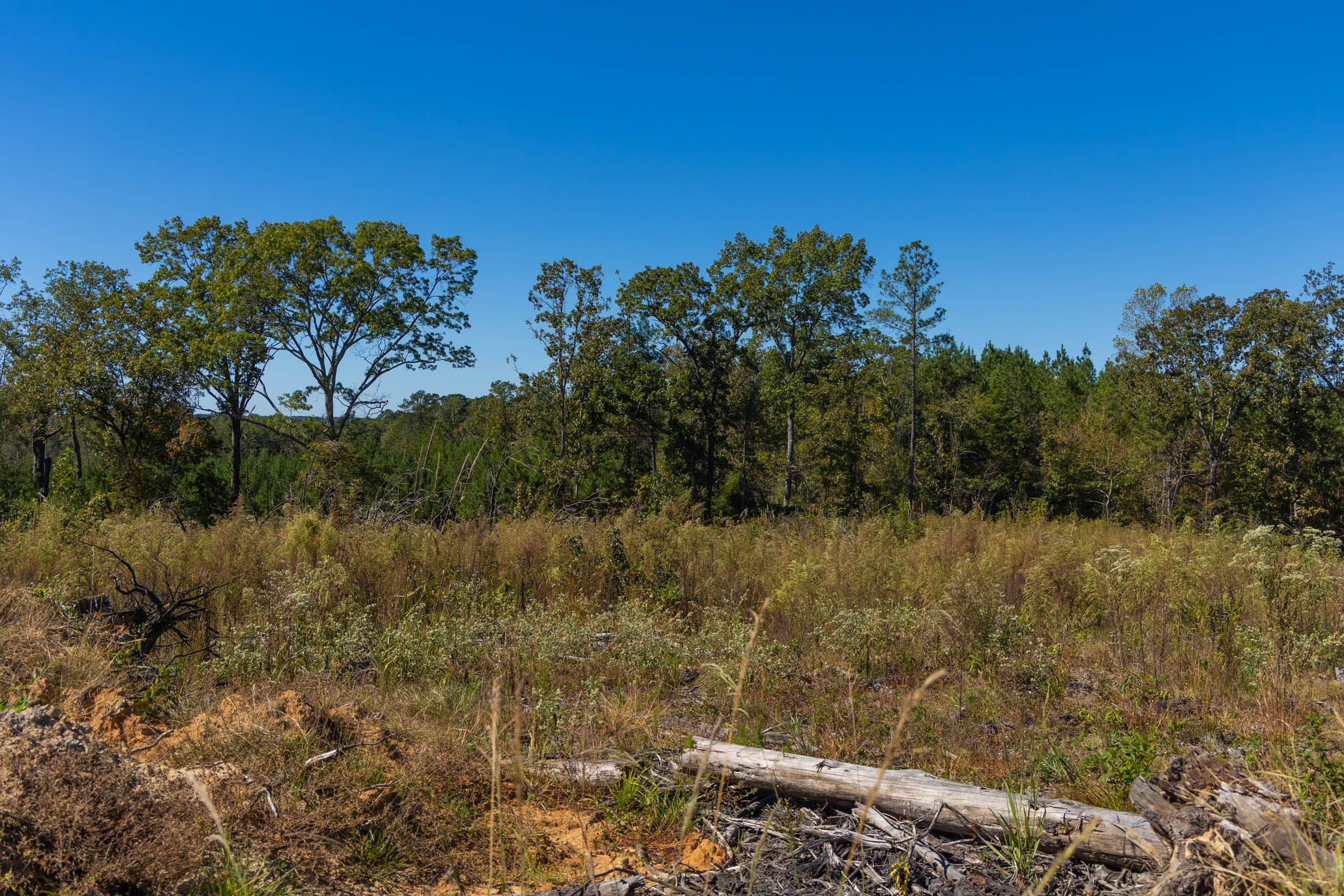 Meyer’s Ridge Tract 13 photo 12