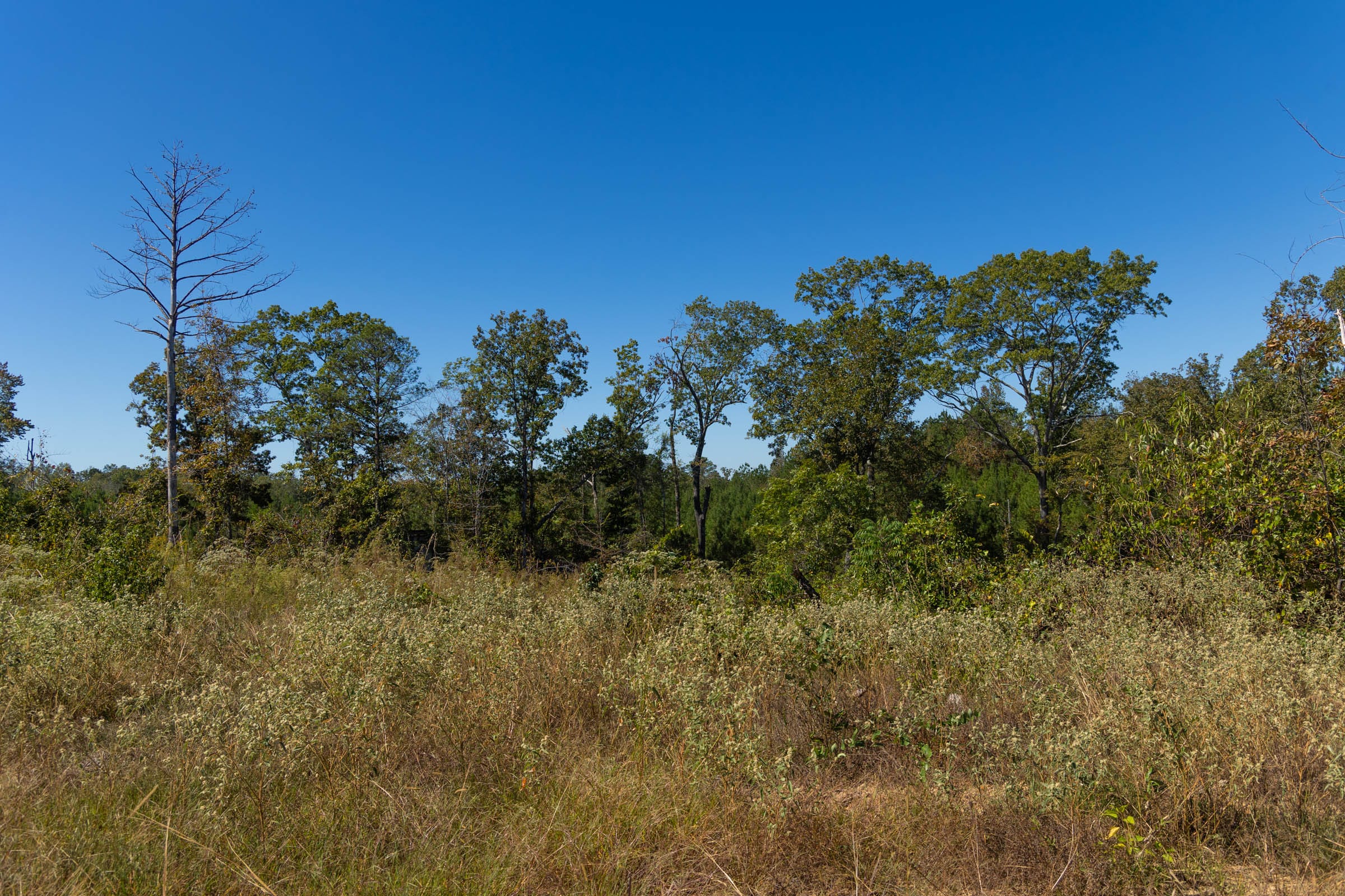 Meyer’s Ridge Tract 13 photo 11