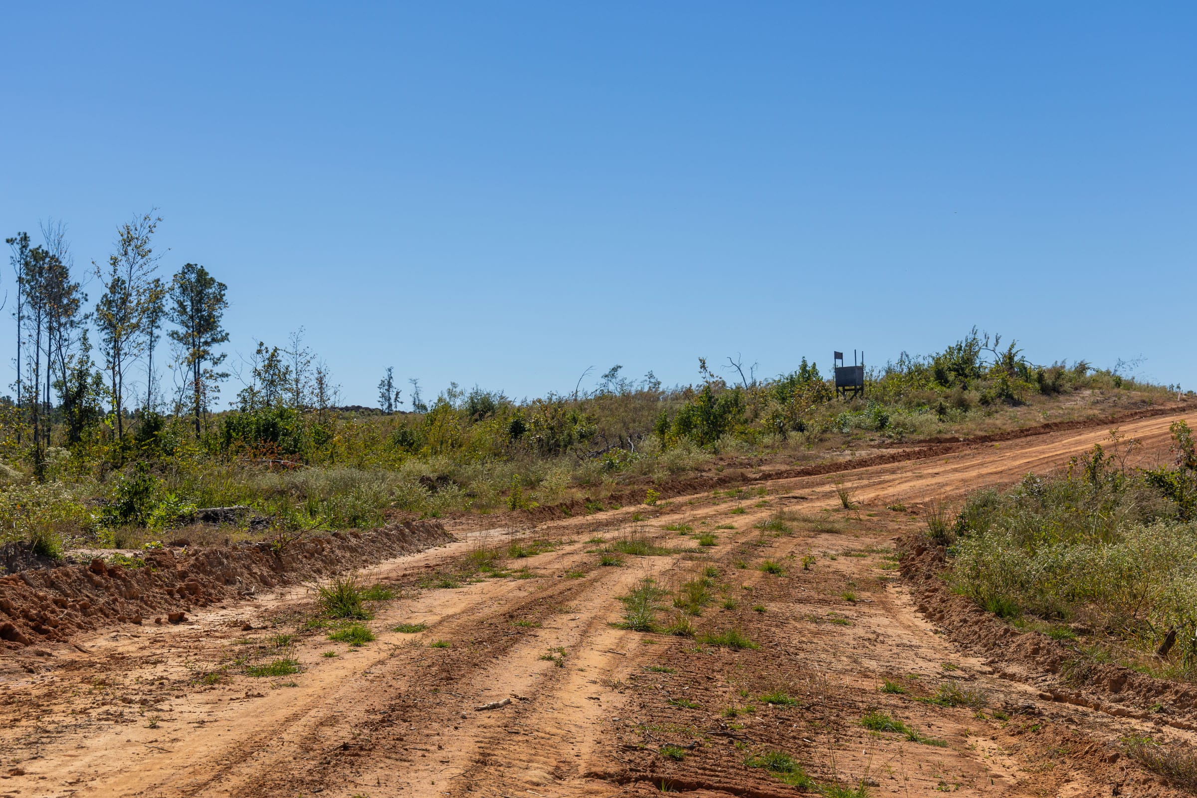 Meyer’s Ridge Tract 13 photo 9