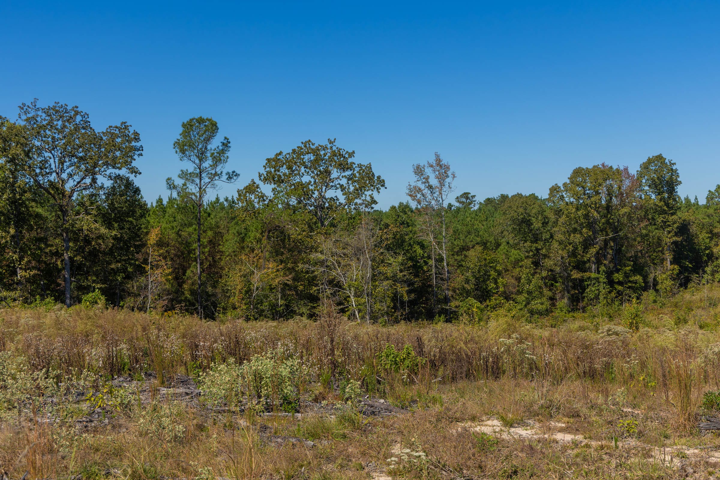 Meyer’s Ridge Tract 13 photo 10