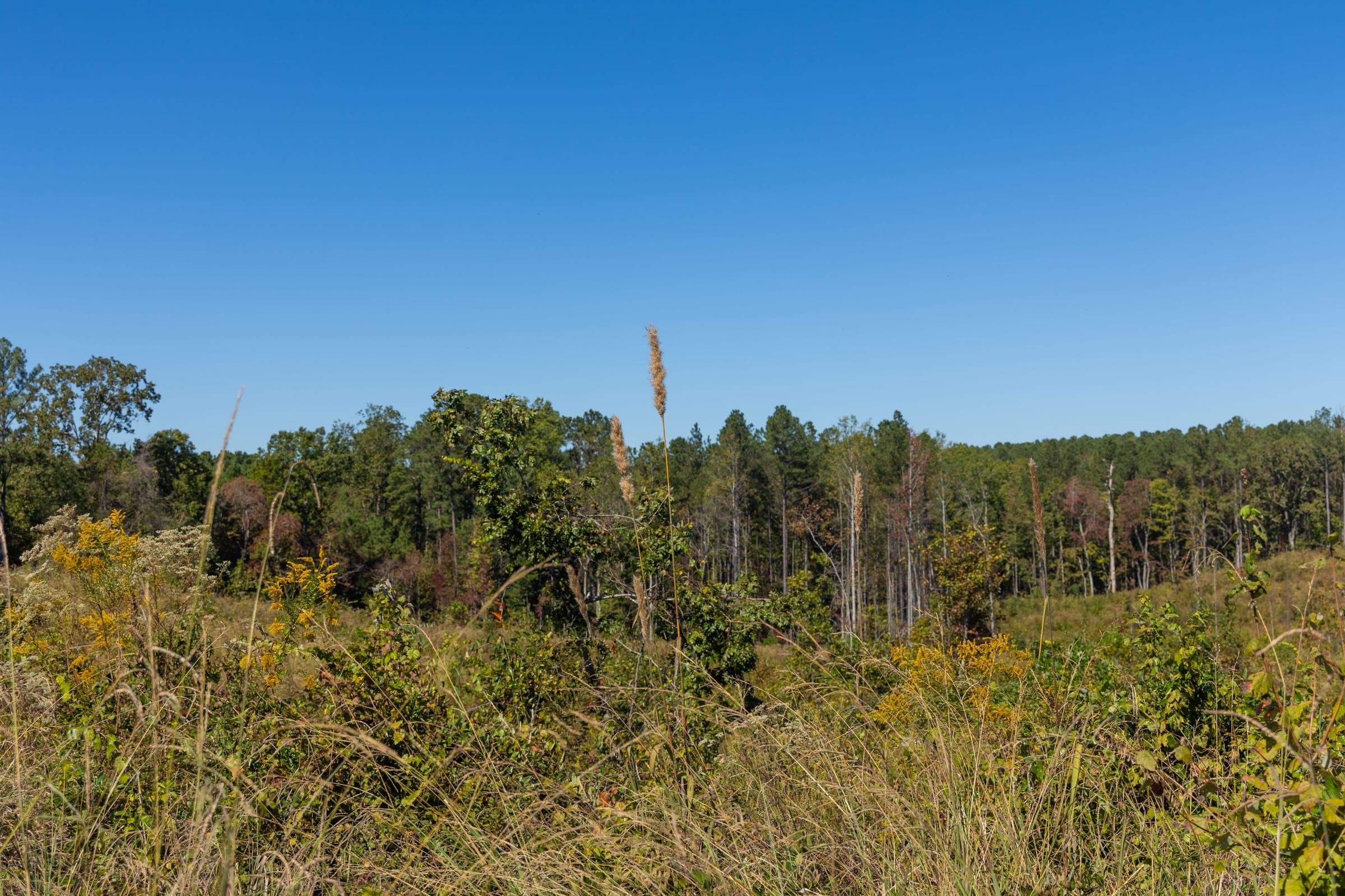 Meyer’s Ridge Tract 13 photo 8