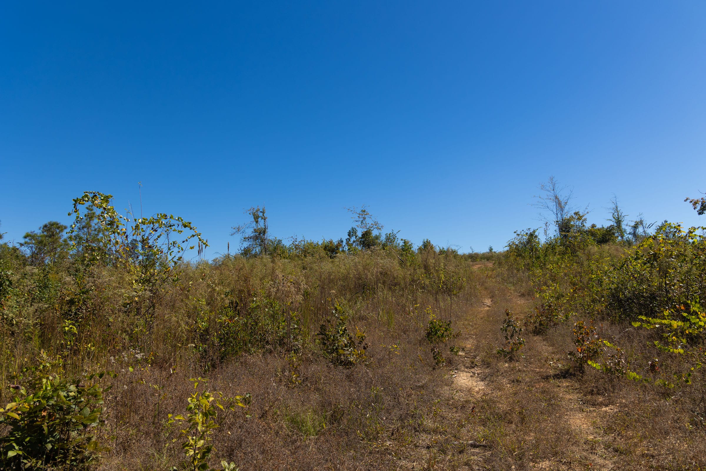 Meyer’s Ridge Tract 13 photo 7