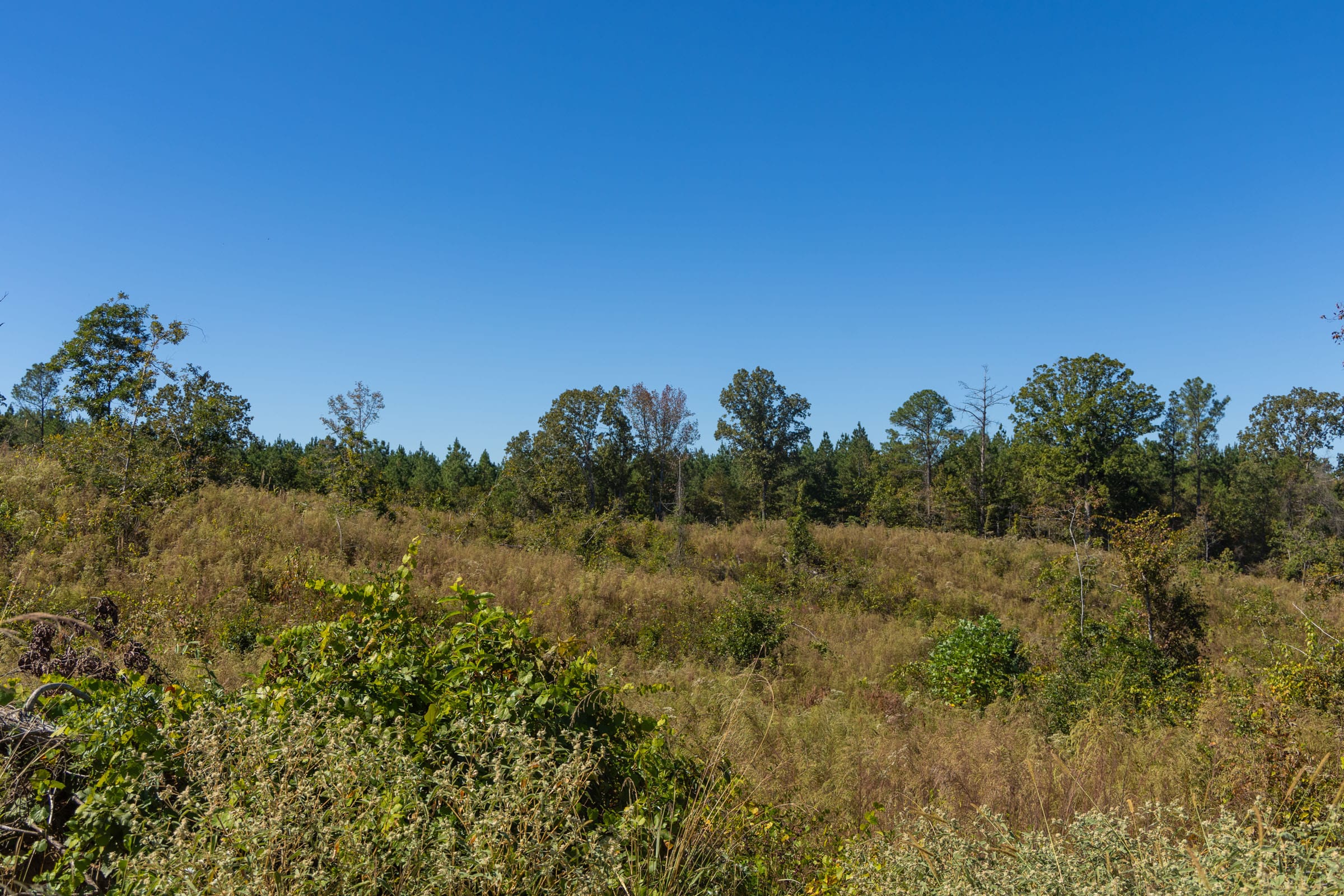 Meyer’s Ridge Tract 13 photo 5