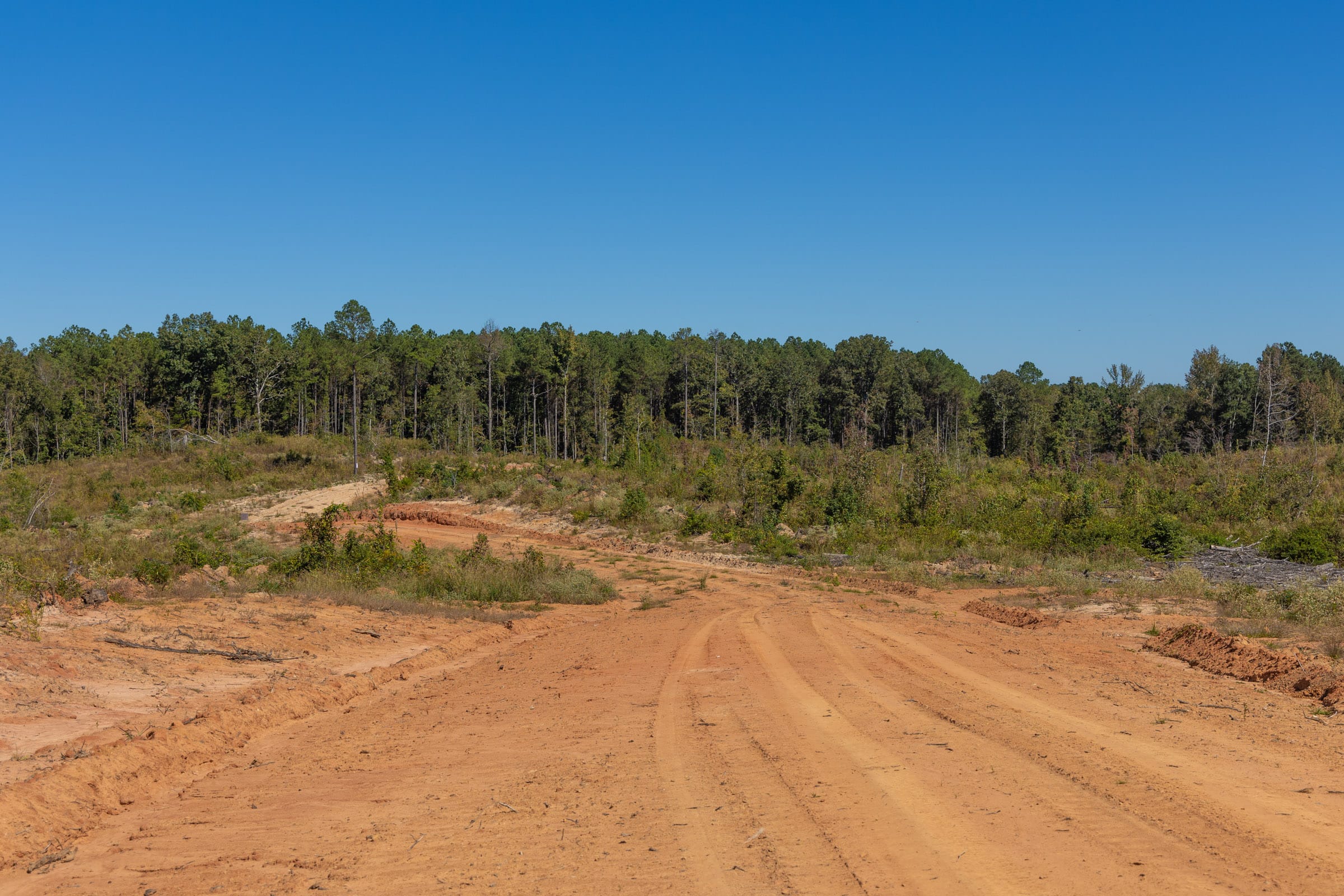 Meyer’s Ridge Tract 13 photo 3