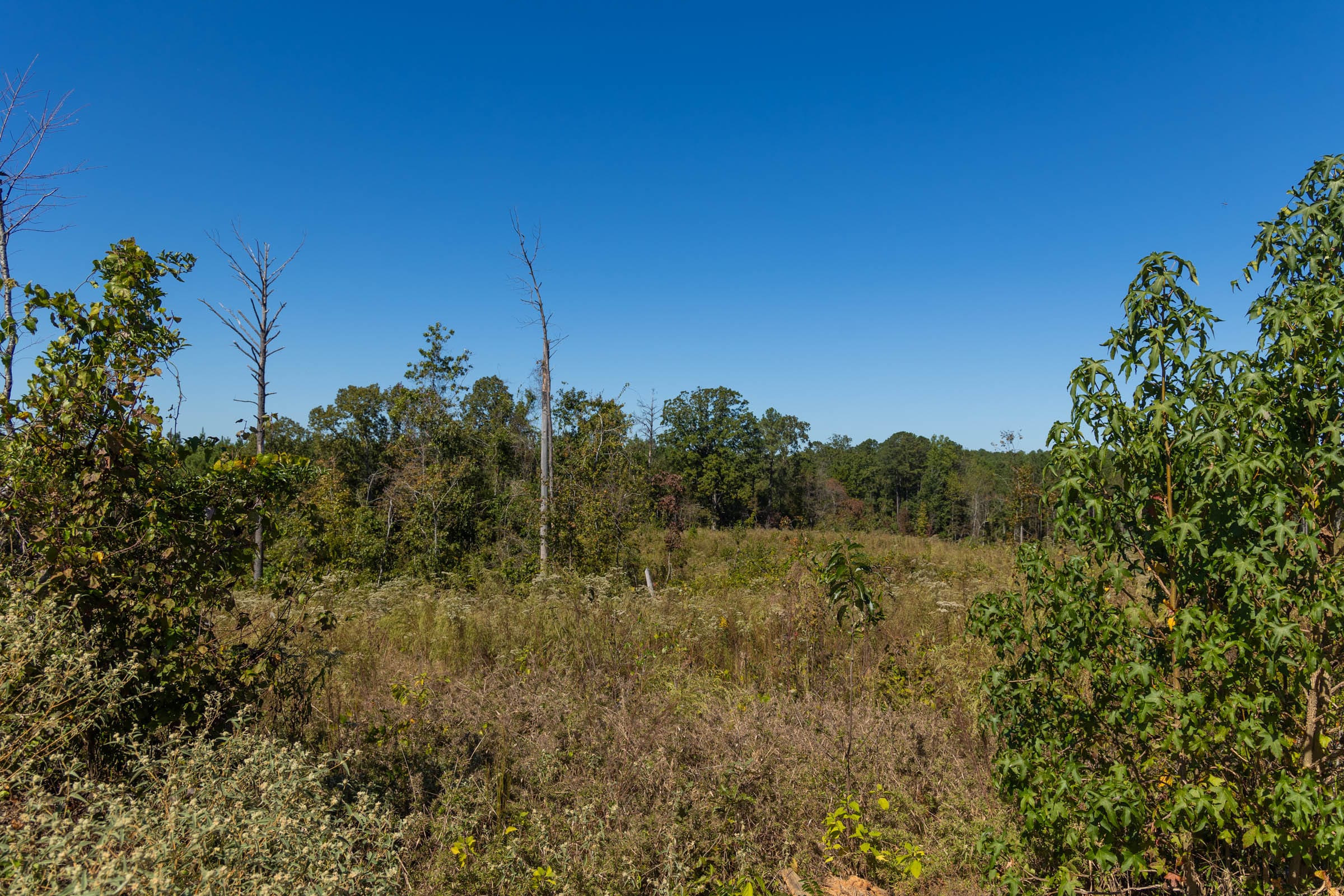 Meyer’s Ridge Tract 13 photo 13