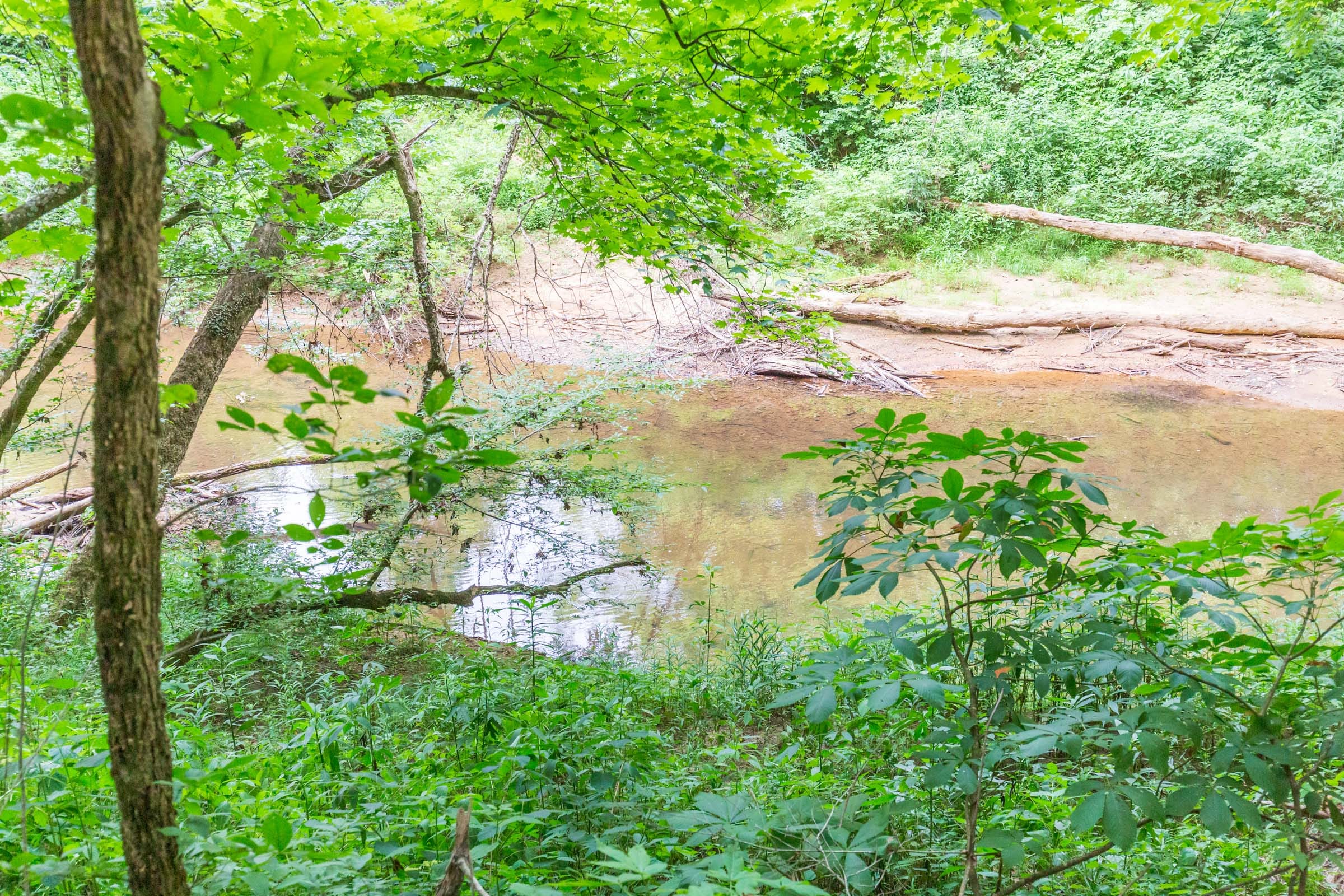 River’s Edge Tract 2 photo 2
