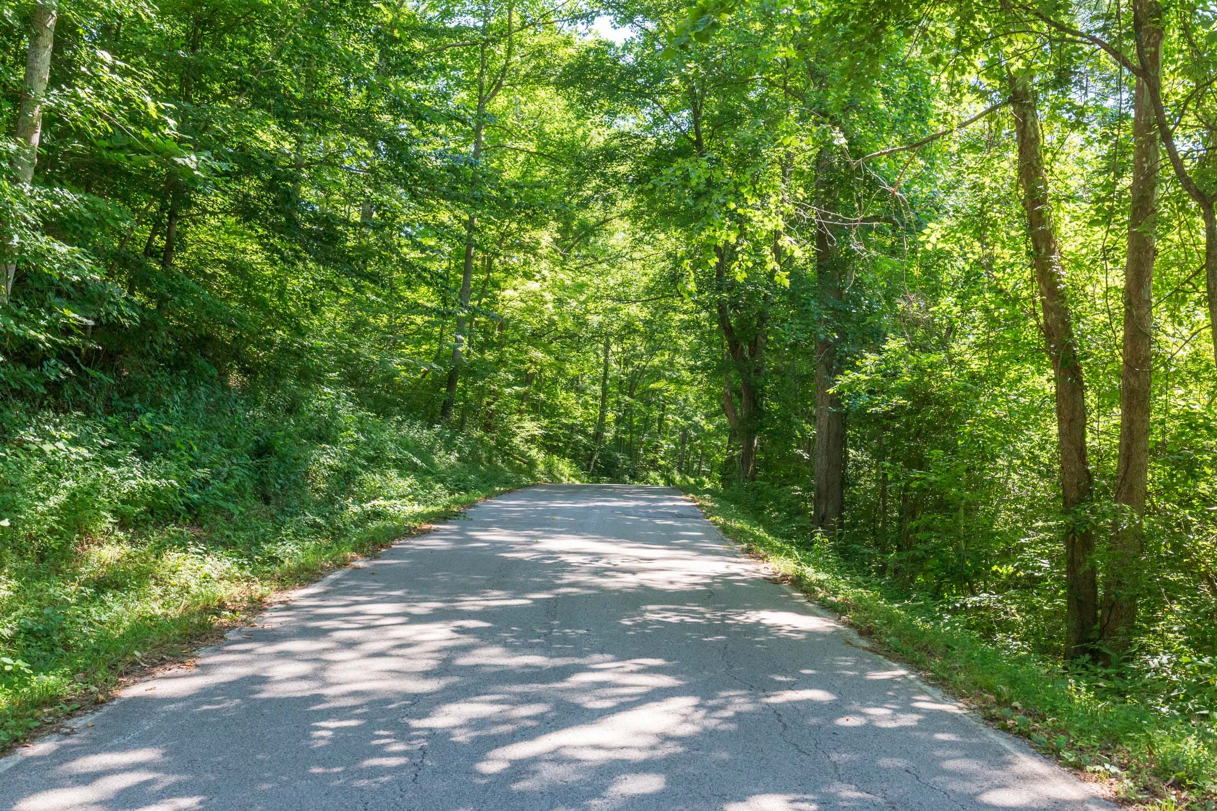 River’s Edge Tract 2 photo 4