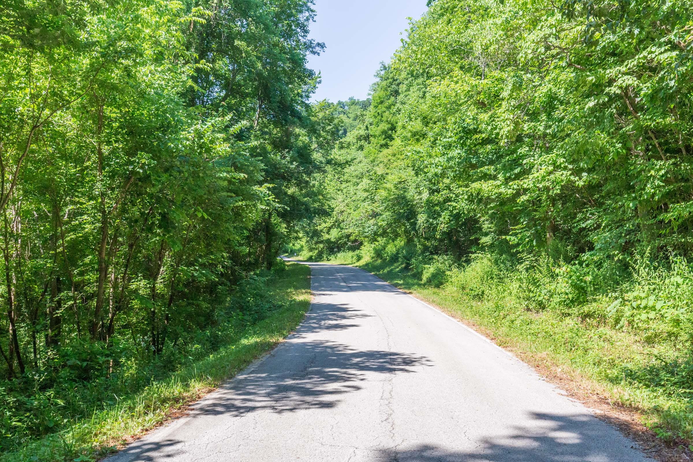 River’s Edge Tract 2 photo 9