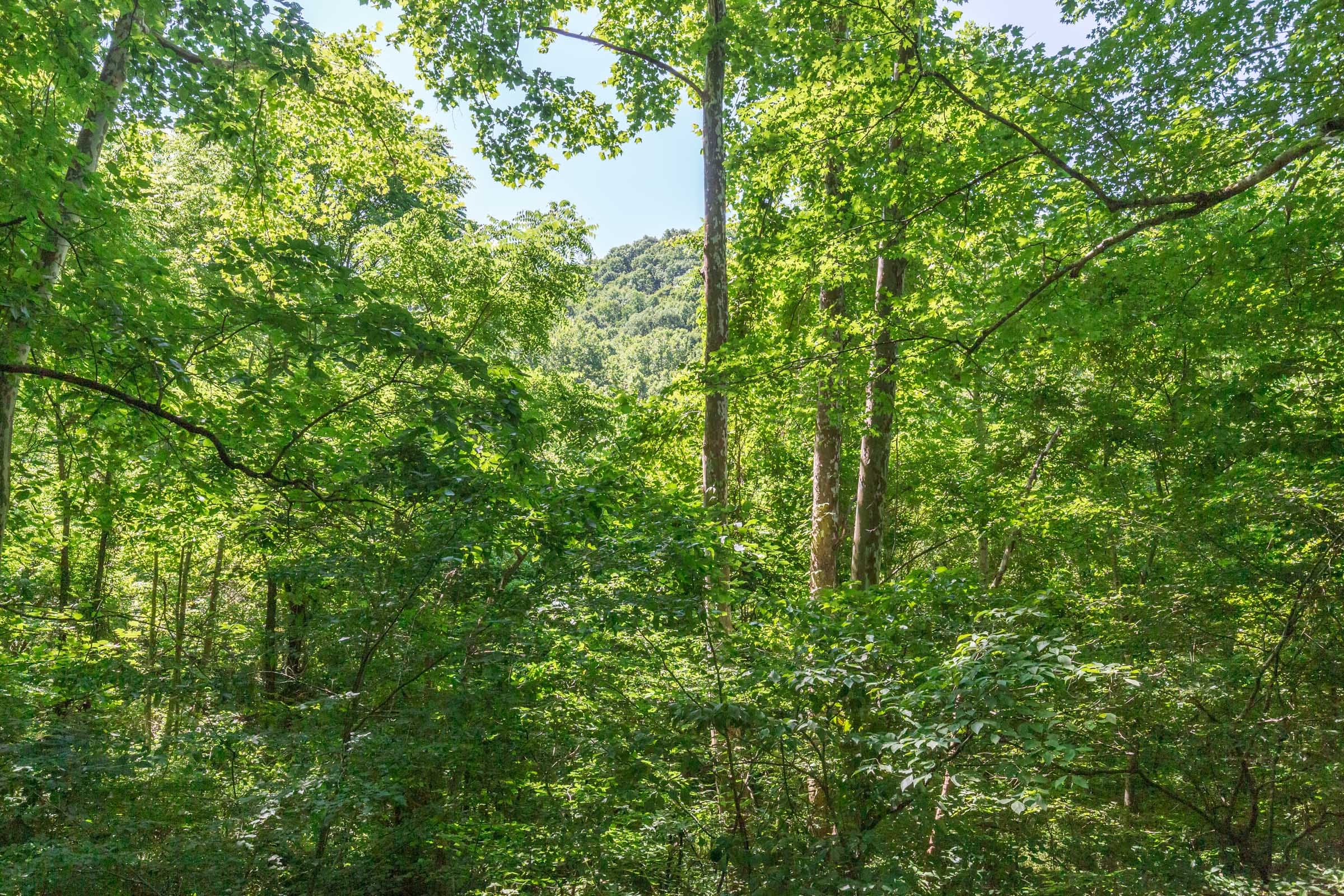 River’s Edge Tract 2 photo 8