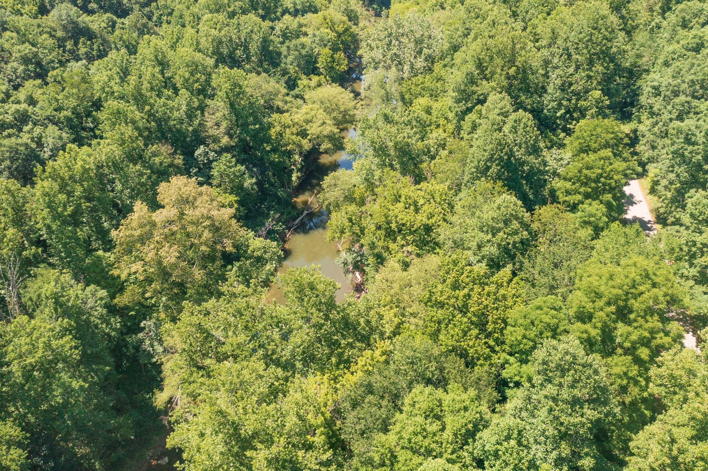 River’s Edge Tract 2 photo 14