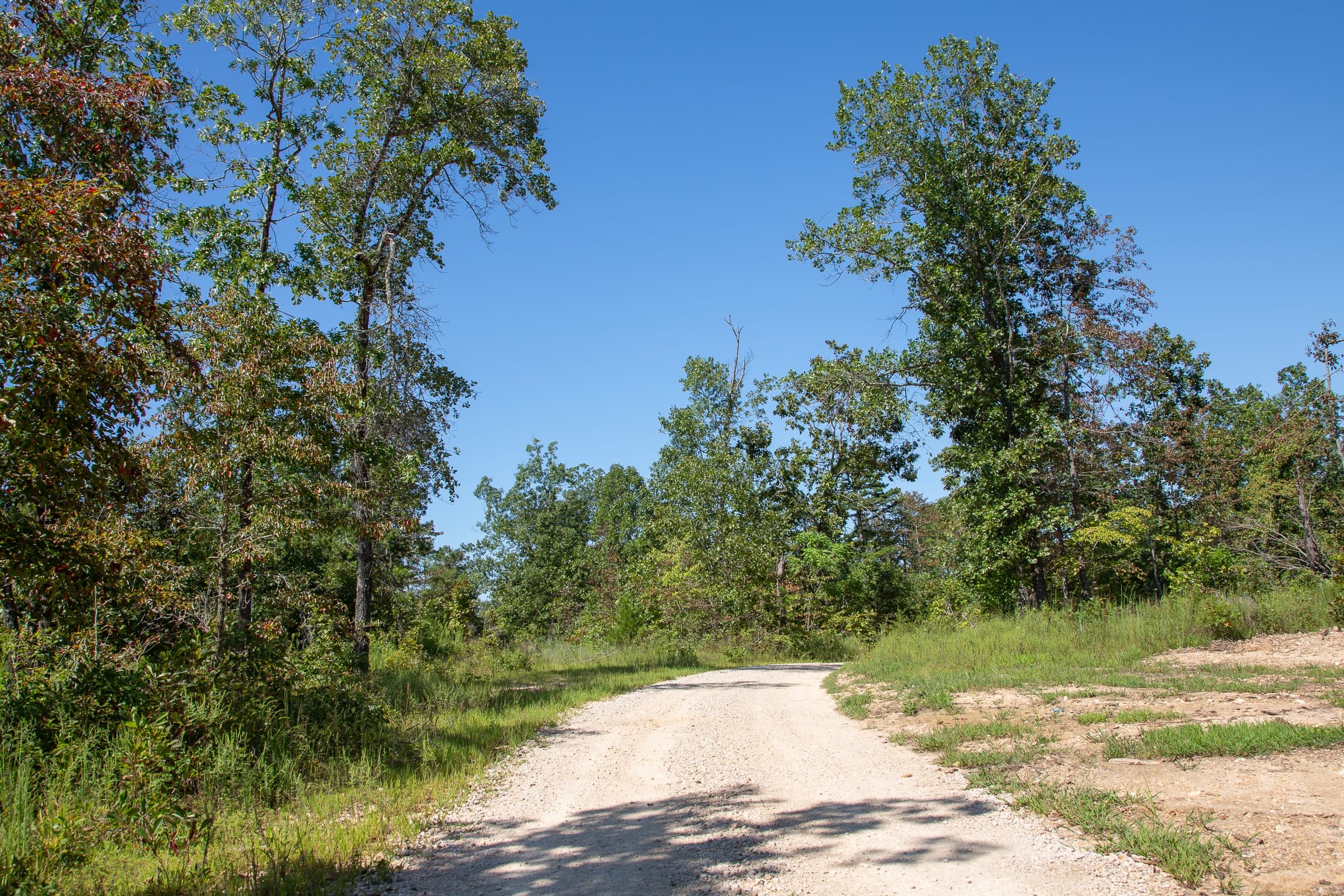 Borgmann’s Hollow Phase III Tract 87 photo 2