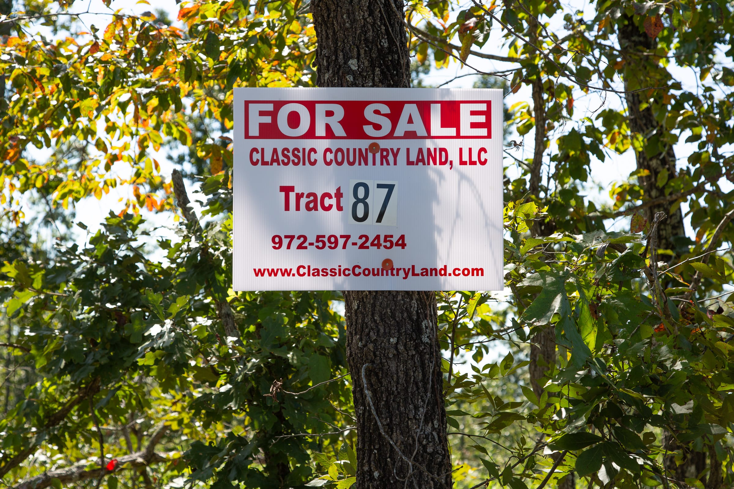 Borgmann’s Hollow Phase III Tract 87 photo 1