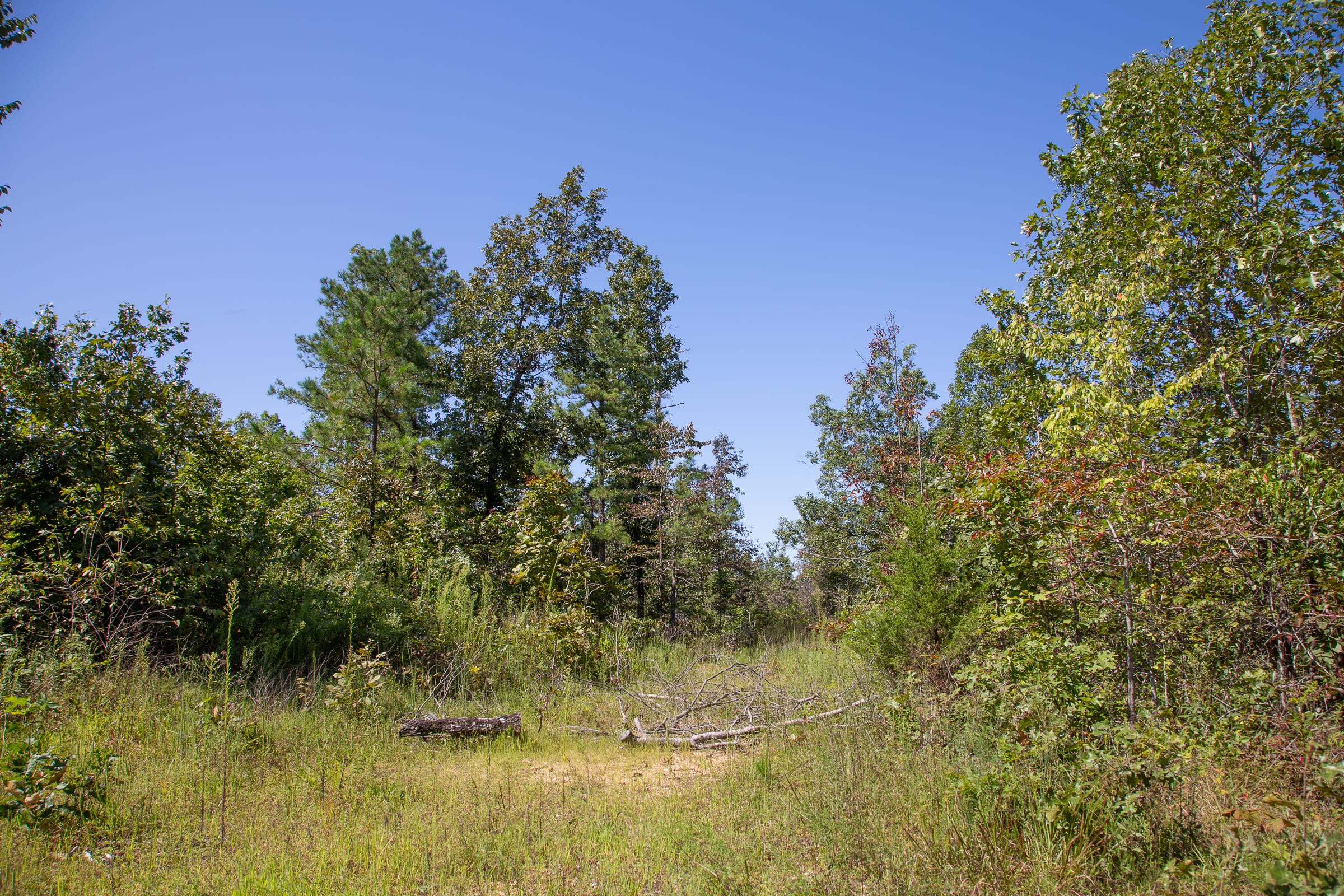Borgmann’s Hollow Phase III Tract 87 photo 5