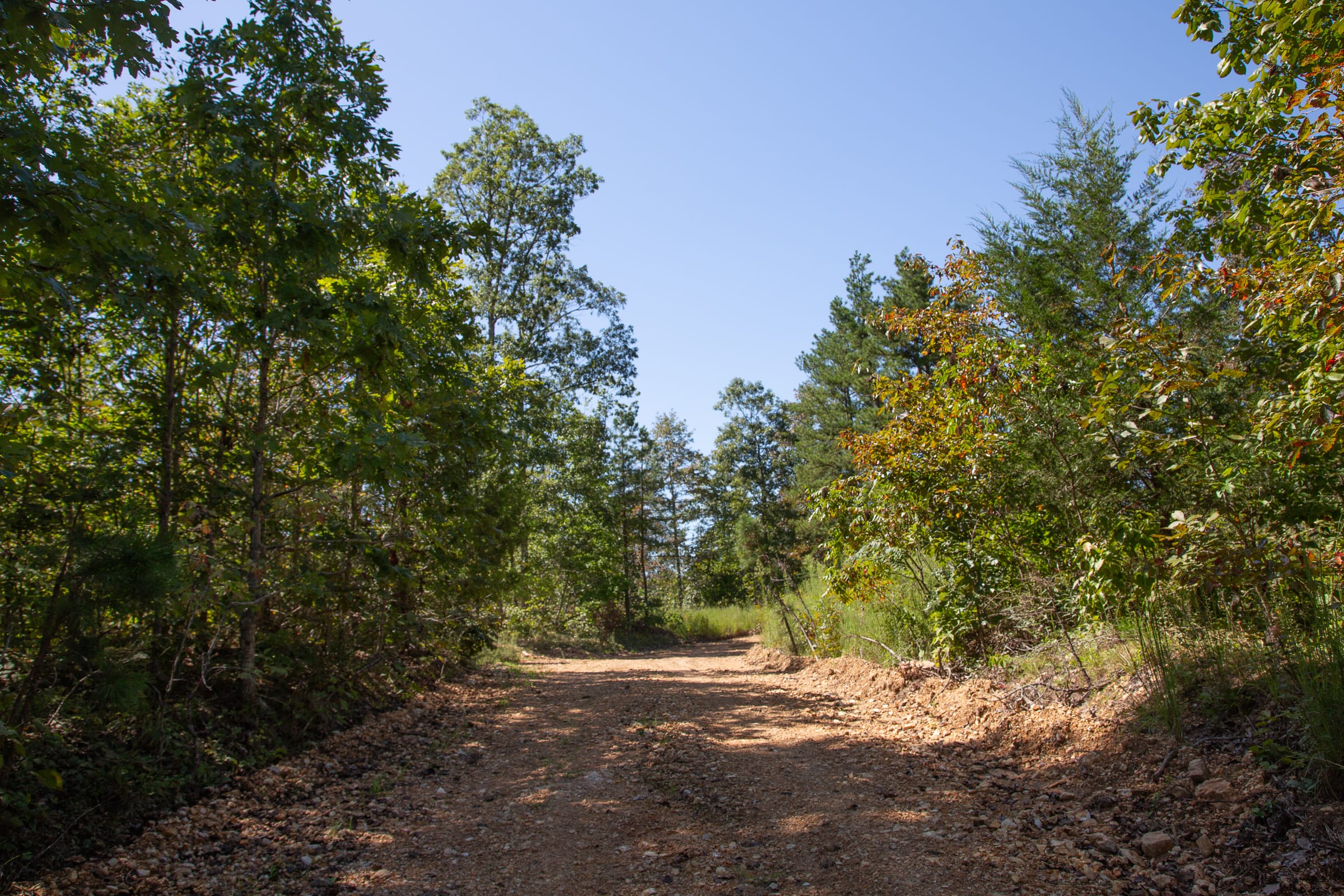 Borgmann’s Hollow Phase III Tract 87 photo 6