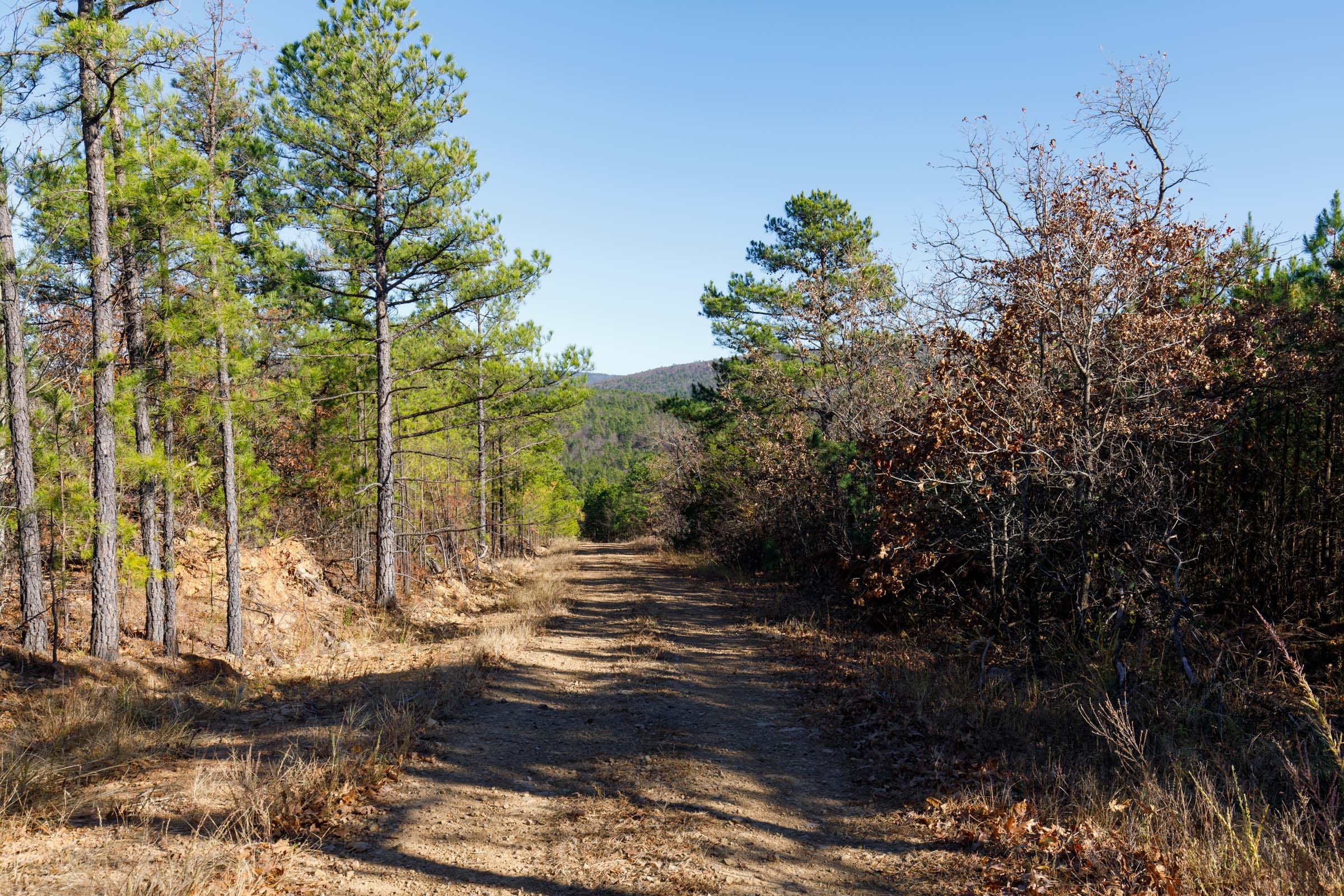 Stone Bridge Phase II Tract 133 photo 1
