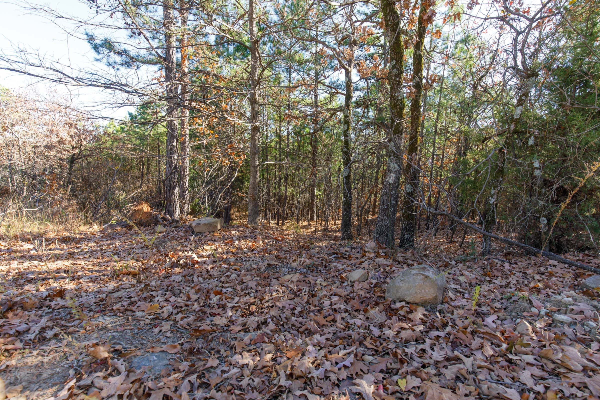 Stone Bridge Phase II Tract 133 photo 7
