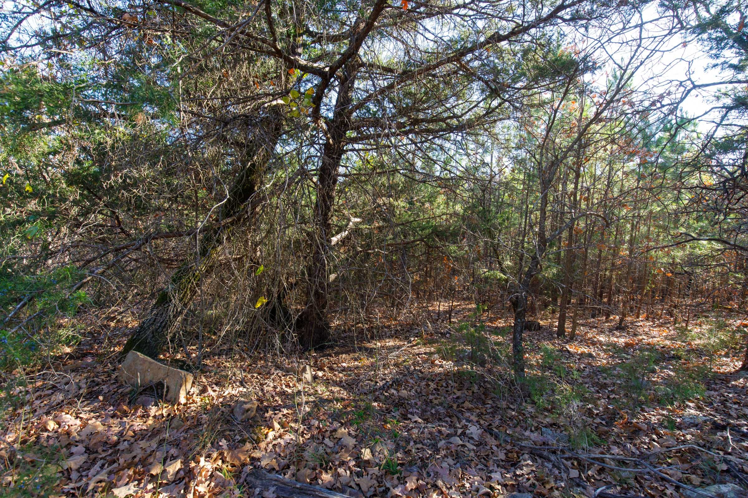 Stone Bridge Phase II Tract 133 photo 8