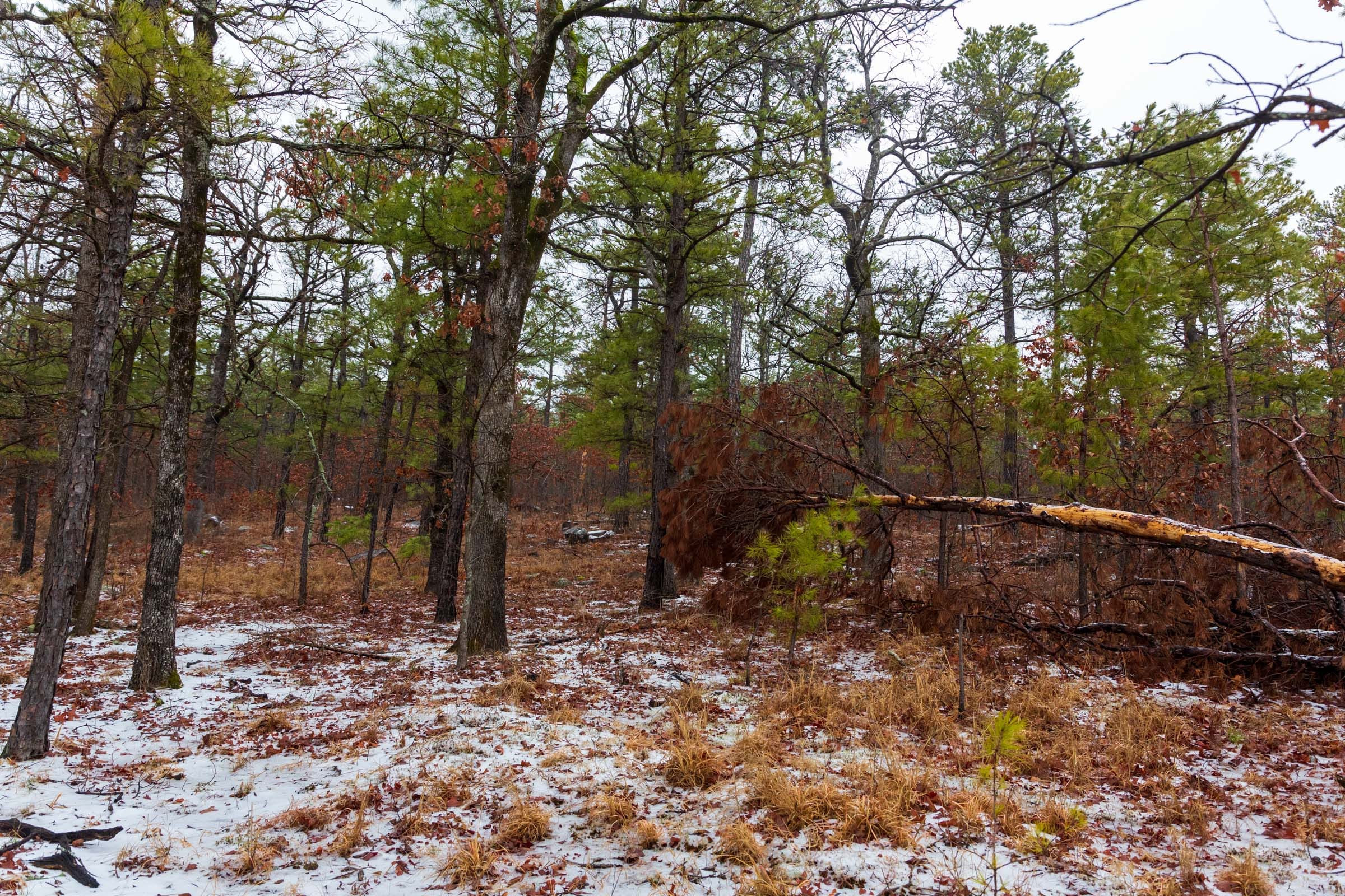 Stone Bridge Phase IV Tract 274 photo 11