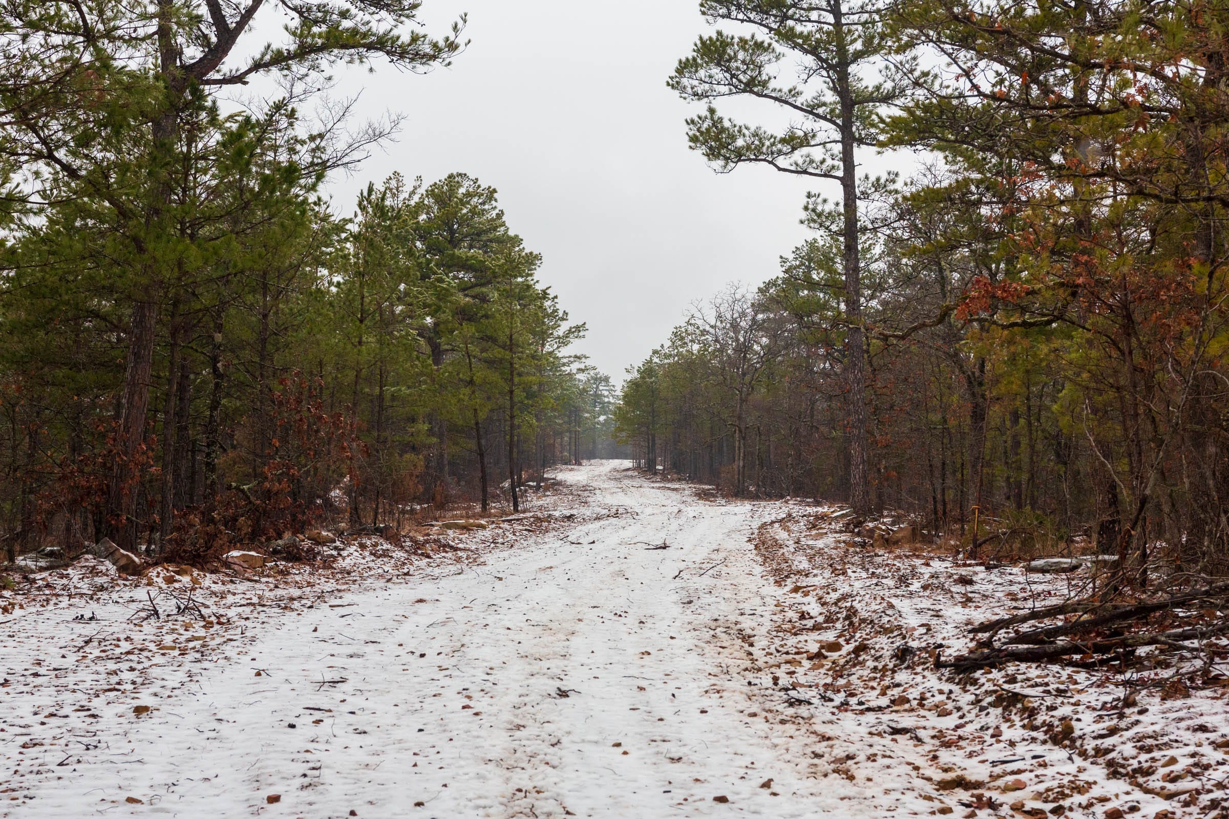 Stone Bridge Phase IV Tract 274 photo 16
