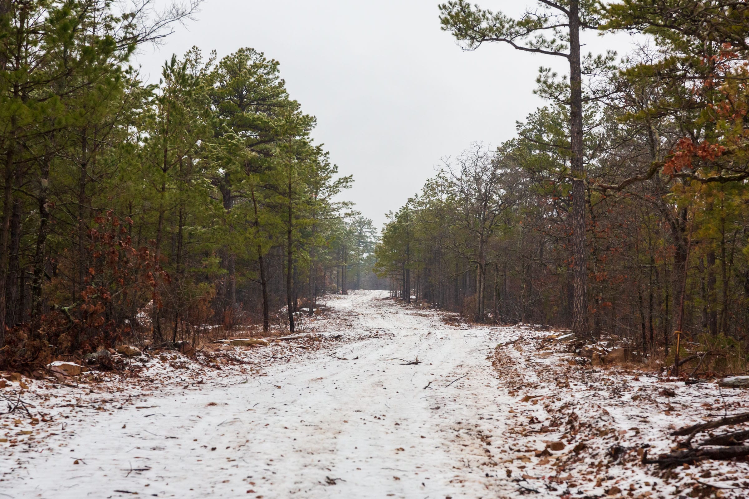 Stone Bridge Phase IV Tract 274 photo 1