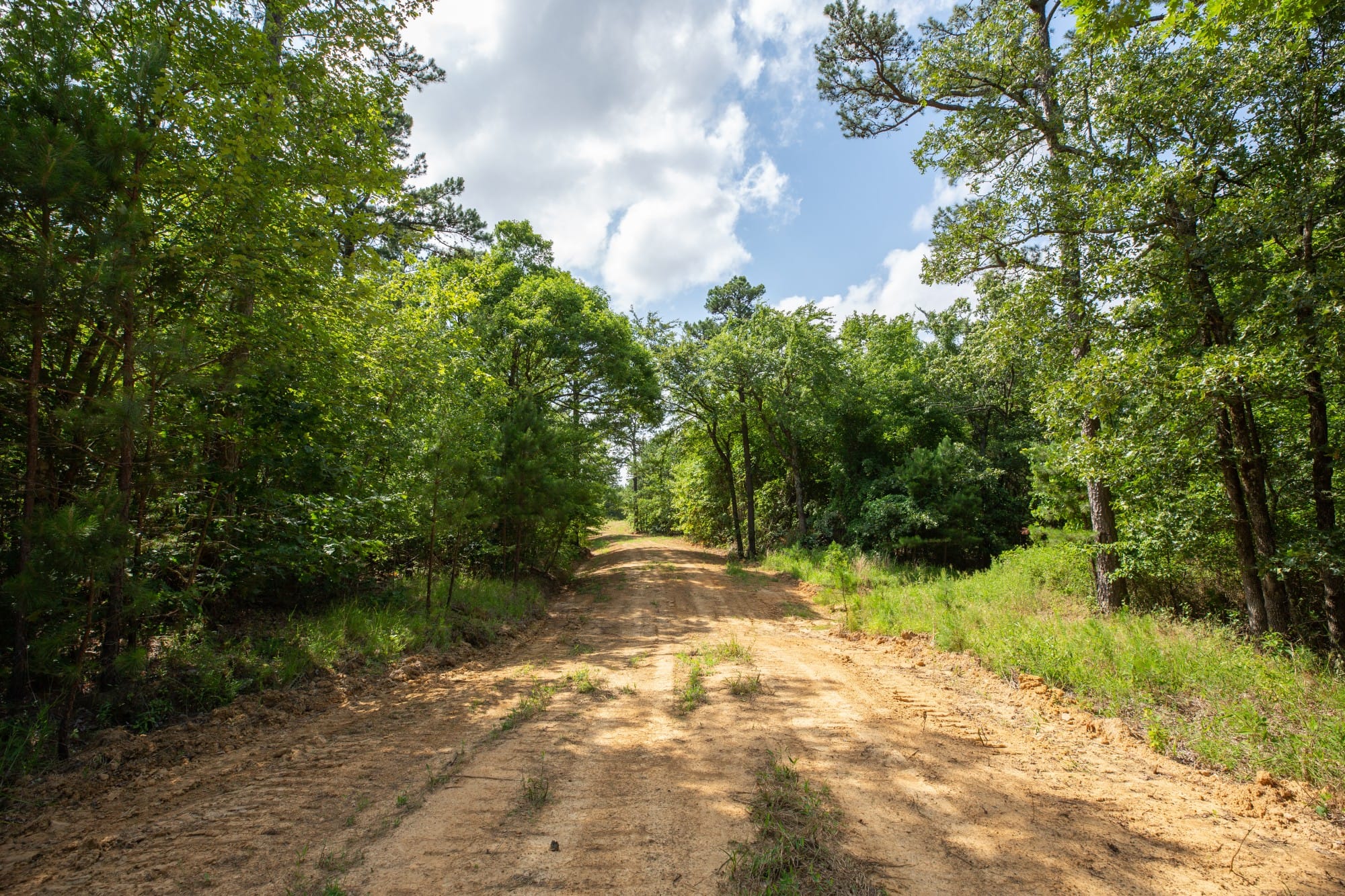 Eagle’s Nest Tract 33 photo 2