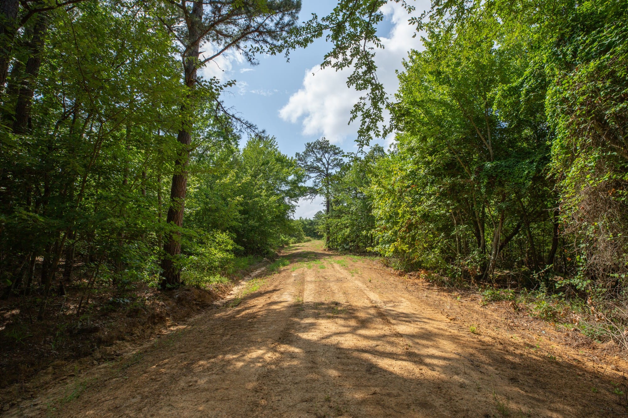 Eagle’s Nest Tract 33 photo 4