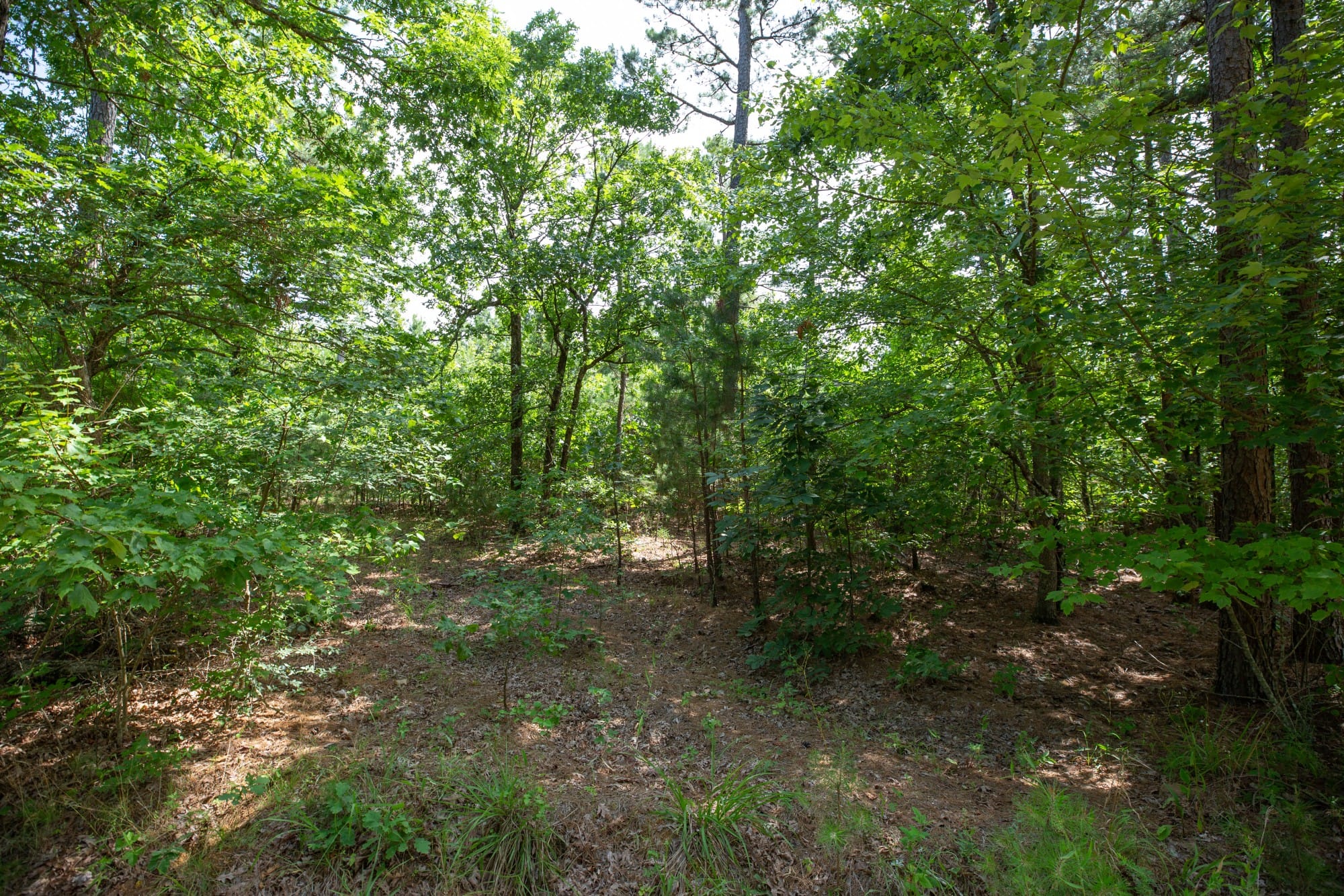 Eagle’s Nest Tract 33 photo 3