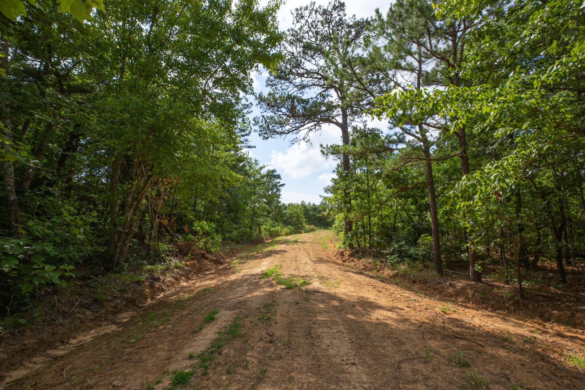 Eagle’s Nest Tract 33 photo 6